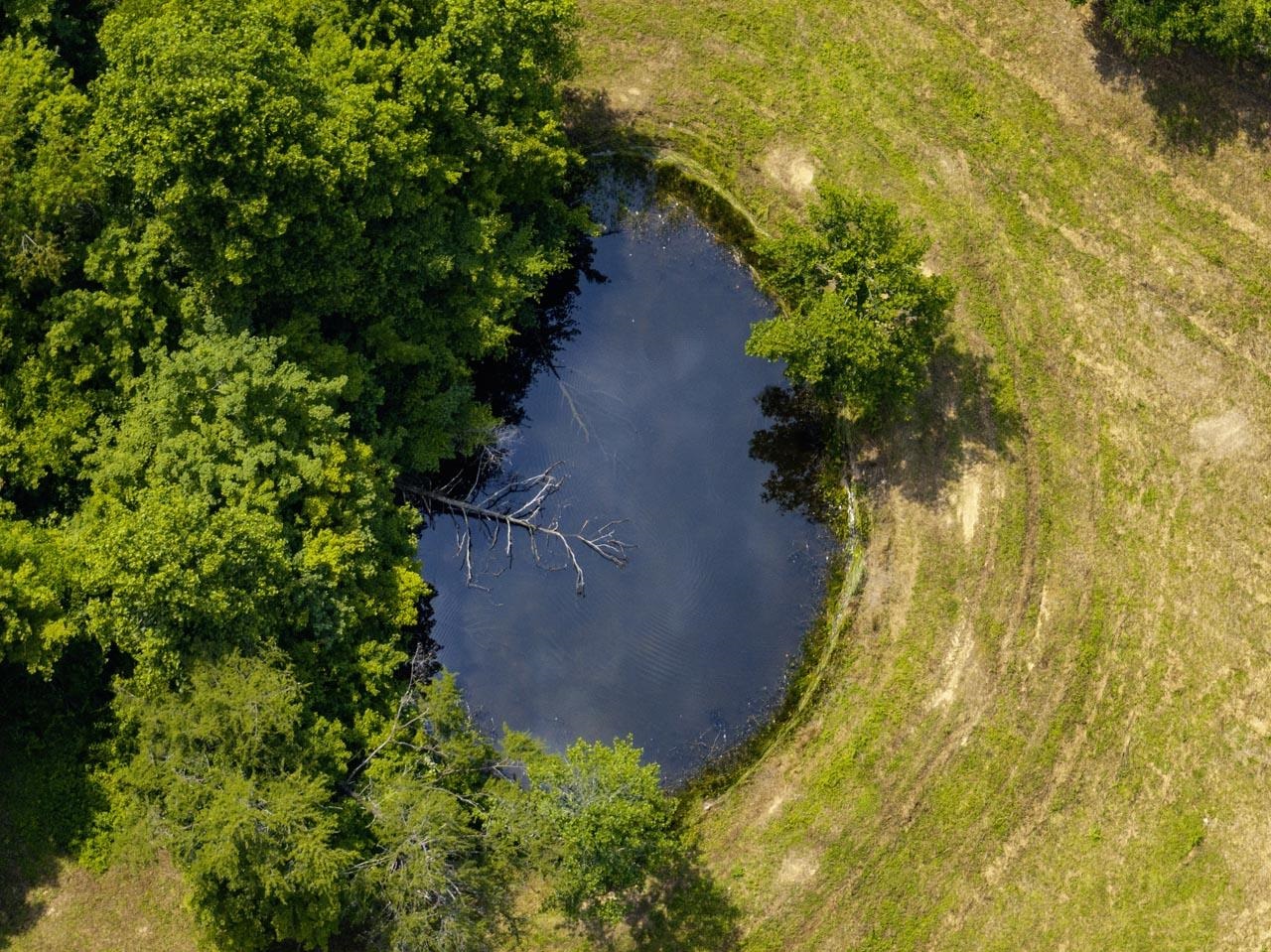 https://zimg.paragon.ice.com/ParagonImages/Property/PH/AABRKY/60881/9/0/0/33dc6b619940e6ce3bea569207dea02b/0/3d5f387e47068faa77fc9efd1063cd65/60881-4d91ffe8-f016-4c93-8bfc-d6b2fa668ba4.JPG