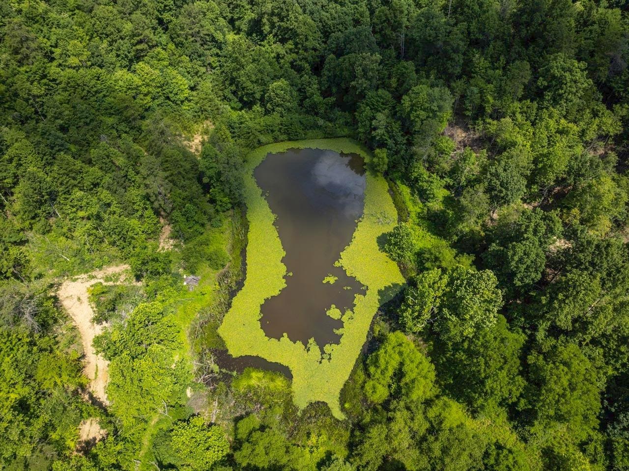 https://zimg.paragon.ice.com/ParagonImages/Property/PH/AABRKY/60907/1/0/0/d5053f970e12584188a08b7137d2968b/0/86563158ae97f30298da5719f7b62c39/60907-26857f84-a985-4679-9461-6b68a673cfb5.JPG