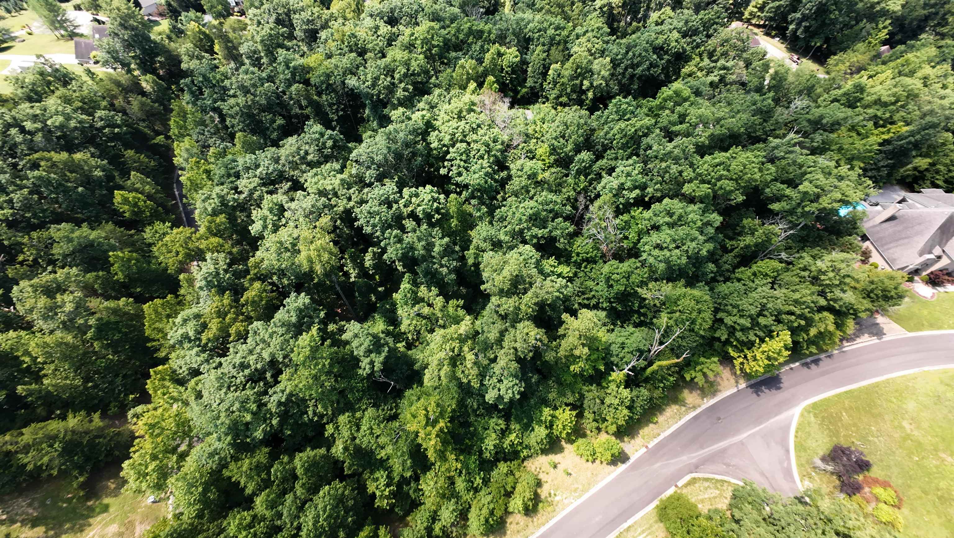 https://zimg.paragon.ice.com/ParagonImages/Property/PH/AABRKY/60995/2/0/0/fc8c6e24188b091b75c3d7238fe2df65/0/47a3dceb4dd863288e72fc0465737a07/60995-cb758d8a-46e9-4222-9ce5-2ef34a6f6ae9.JPG