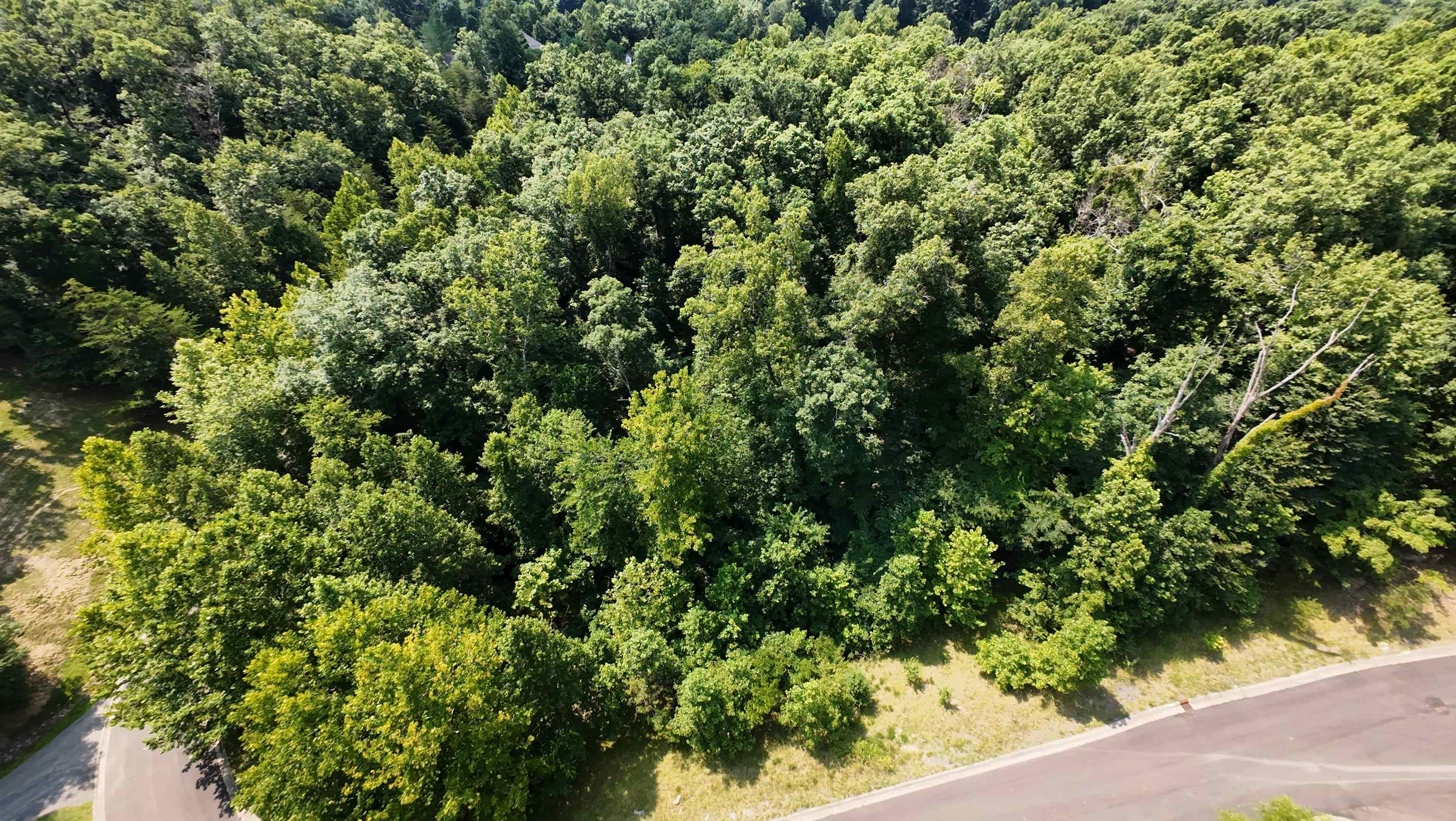 https://zimg.paragon.ice.com/ParagonImages/Property/PH/AABRKY/60995/6/0/0/1428cc4692d04b3a4d3527cedf81d316/0/47a3dceb4dd863288e72fc0465737a07/60995-8ebae65f-069c-4a00-bbc7-778f44a14dc6.JPG