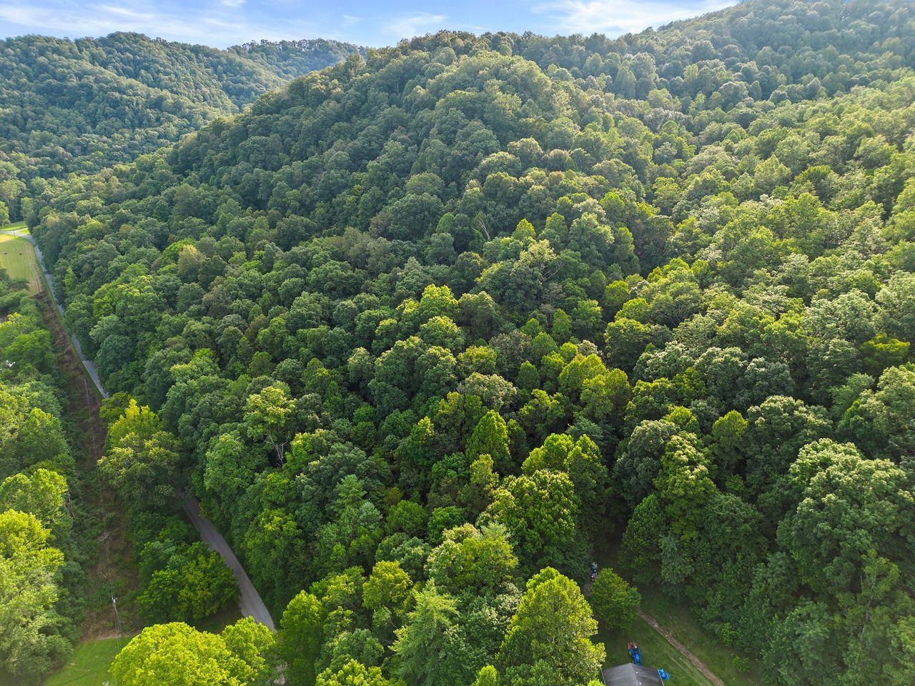 https://zimg.paragon.ice.com/ParagonImages/Property/PH/AABRKY/61021/3/0/0/964c64d036703a72fd73ea9c5cdb2d3c/0/6b48f5582e7c9206e9fc250e206778cc/61021-367c5dfc-75b3-49c0-ab2a-589e1e8bb7a1.JPG