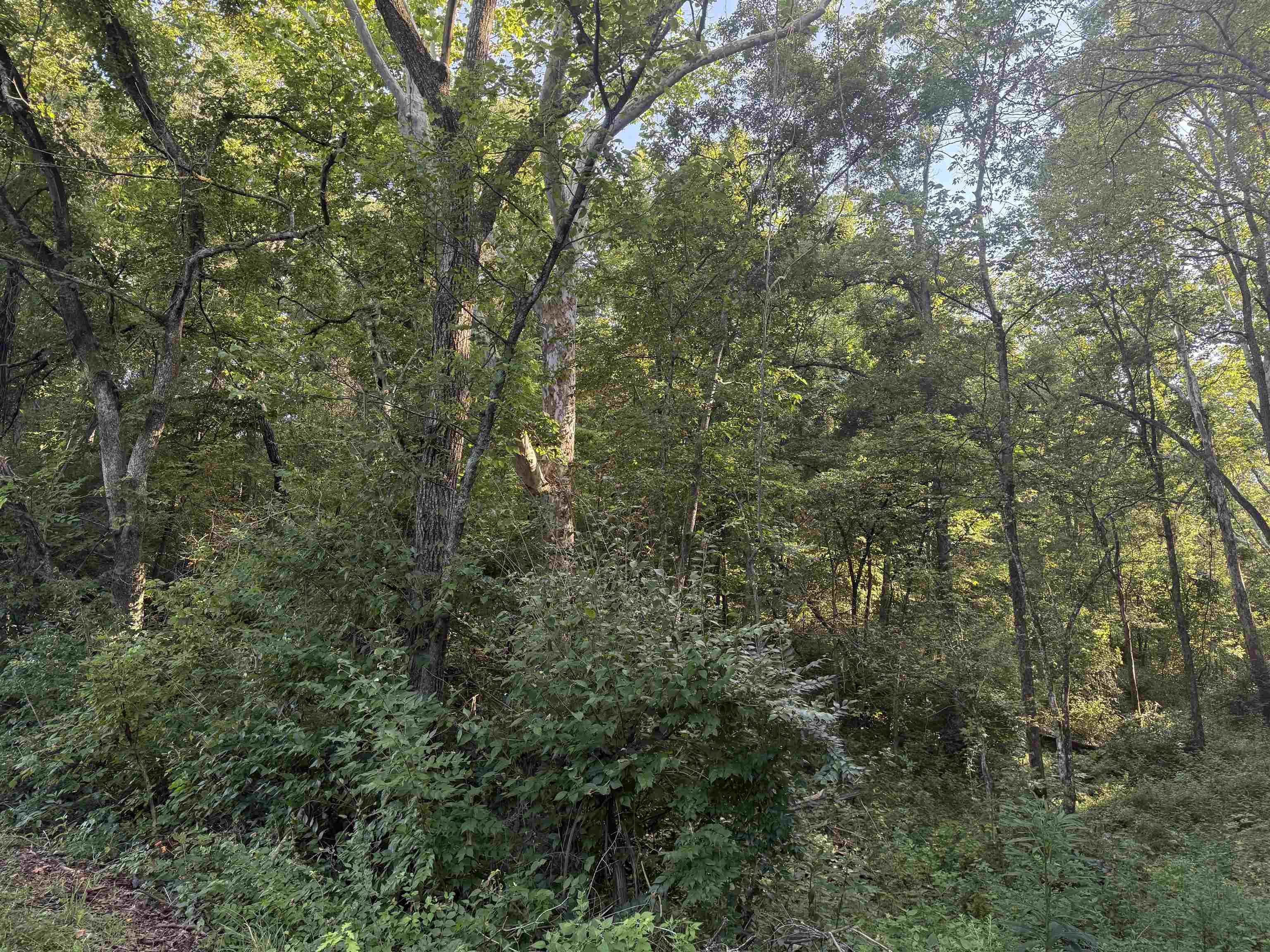 https://zimg.paragon.ice.com/ParagonImages/Property/PH/AABRKY/61147/11/0/0/1f16573a0ead3d0dde9f2b3f39600df1/0/cae103924352405df1d2e36cdbf1209f/61147-049025a6-27fa-470e-a57e-8e16bcf818d7.JPG