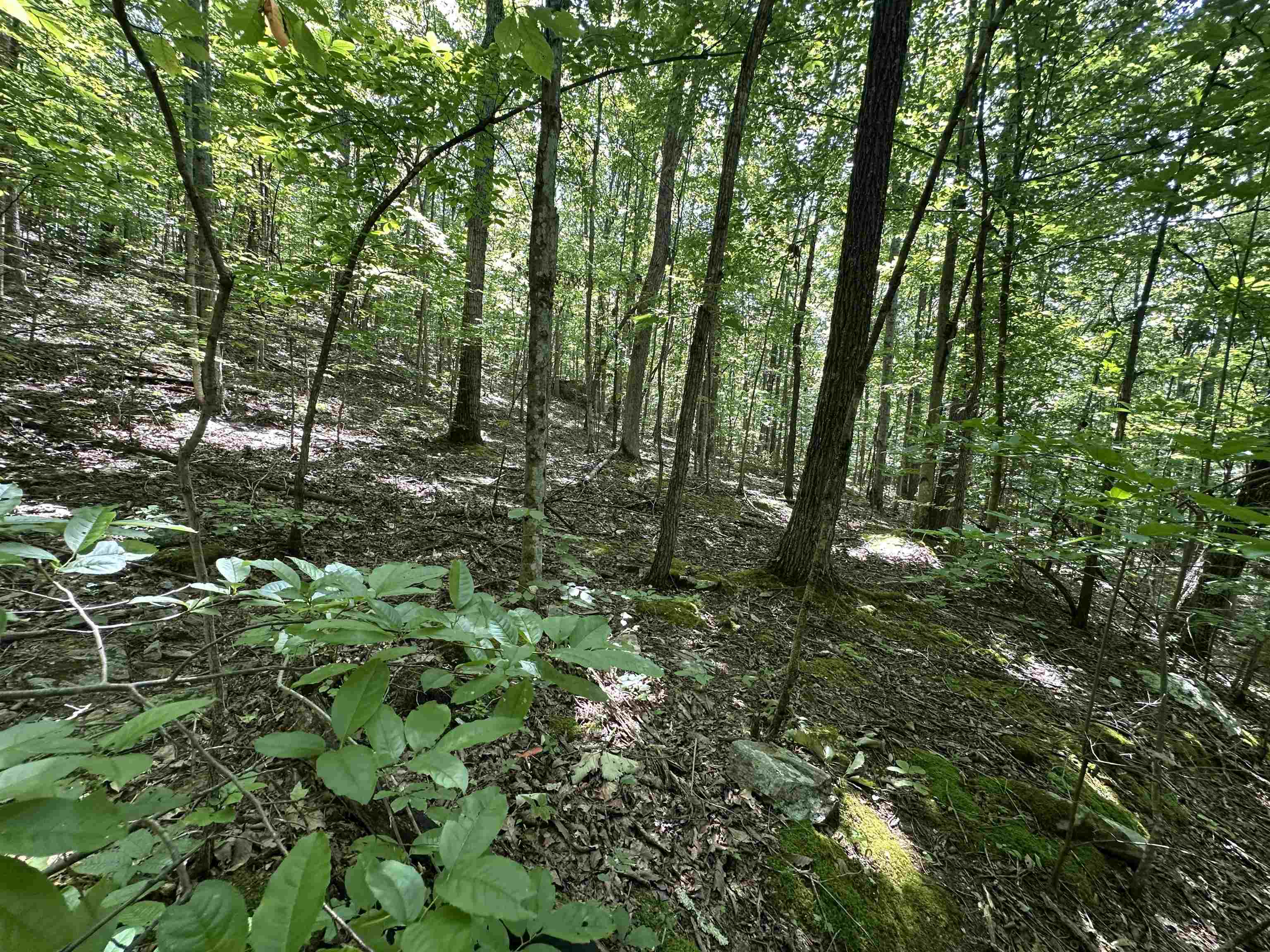 https://zimg.paragon.ice.com/ParagonImages/Property/PH/AABRKY/61255/8/0/0/fe1a3818b2cf5343c093ef65f29e608b/0/bb13f8f494b64ba7a34374645fca5879/61255-00d2ae7d-62b9-4f93-8fb6-4b0966660a39.JPG