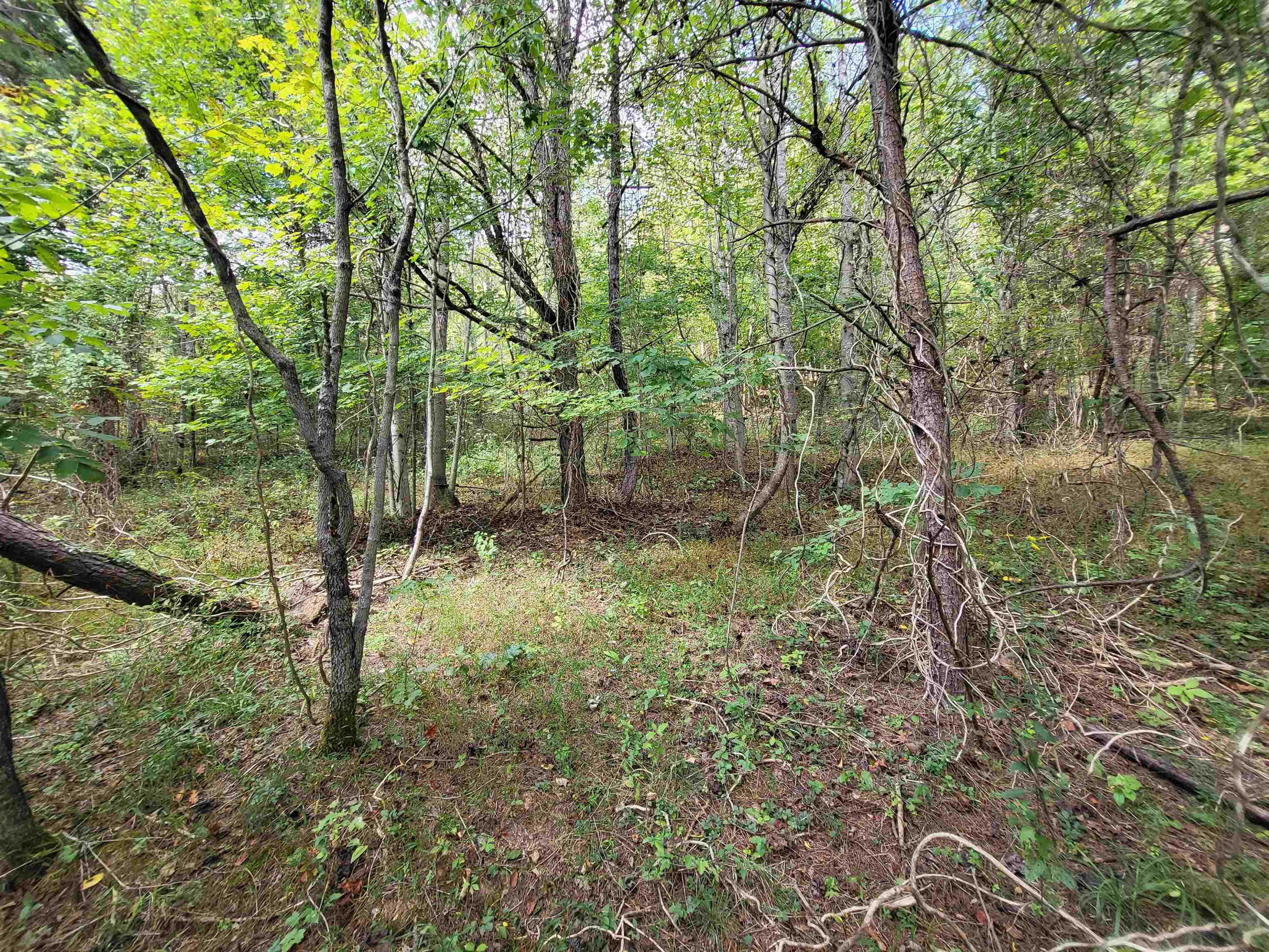 https://zimg.paragon.ice.com/ParagonImages/Property/PH/AABRKY/61288/5/0/0/7bd9974cd1a5e4a91f18f6fce3106d8c/0/824a1688ebacf6cc2c7709b4ef5f84f8/61288-a7e50574-0146-4b68-b824-143aca82539b.JPG