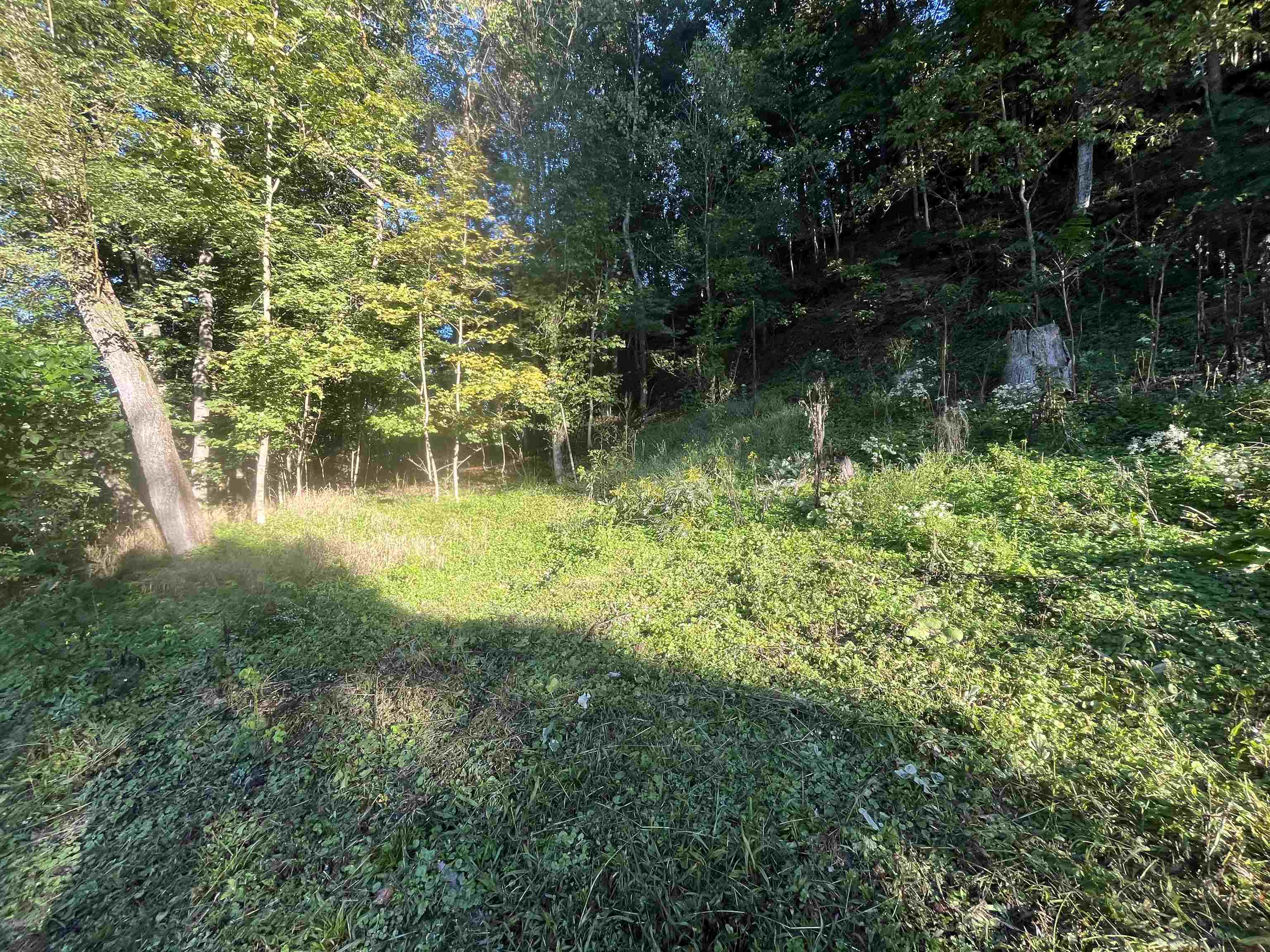 https://zimg.paragon.ice.com/ParagonImages/Property/PH/AABRKY/61322/4/0/0/4faff378e71b3c7593ecb0dff6efa0ae/0/1378ee729ba628357b77a4503cd82220/61322-1b0380de-c9dd-49fd-8b27-4c0ca6e21bd9.JPG