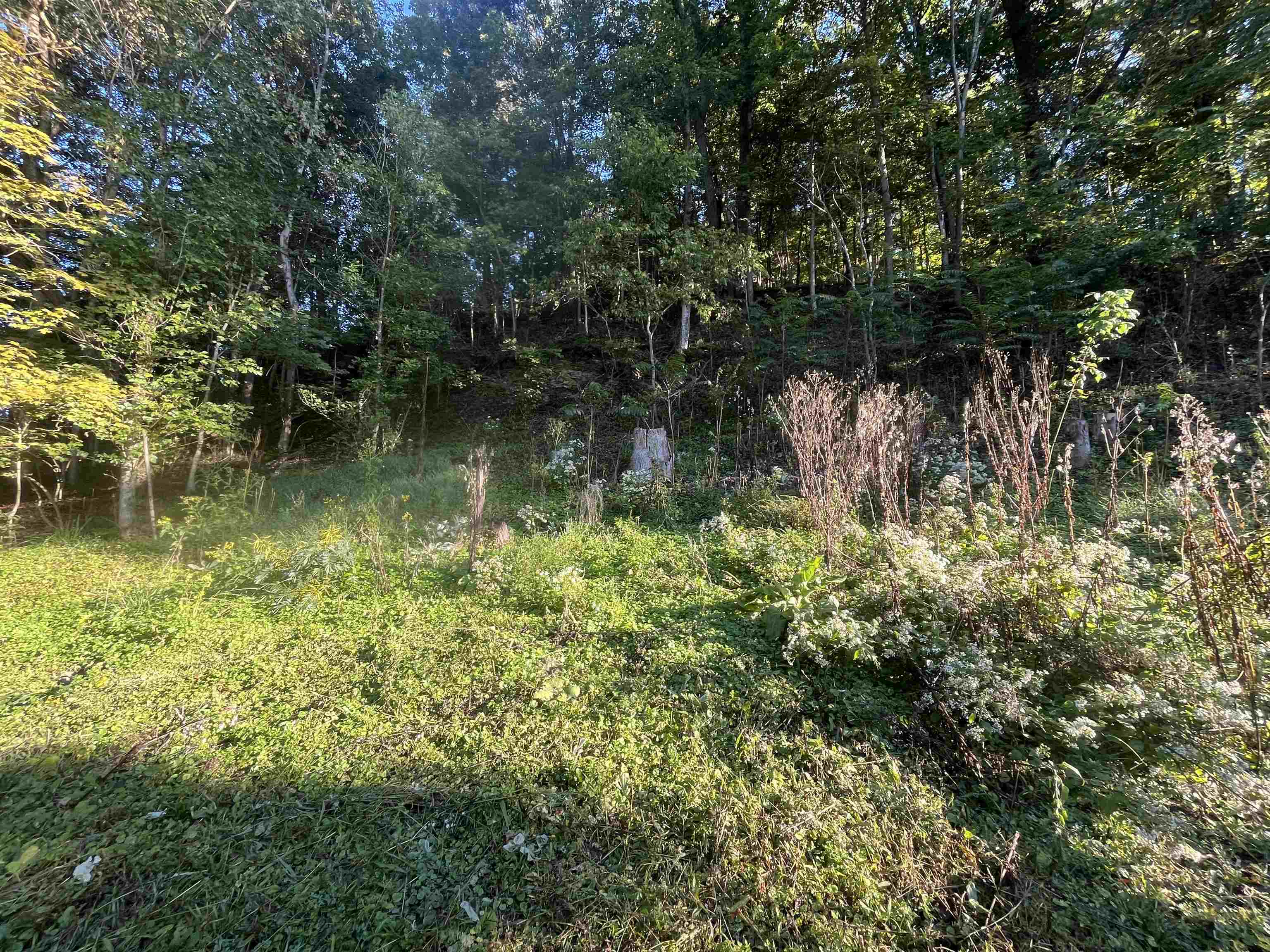 https://zimg.paragon.ice.com/ParagonImages/Property/PH/AABRKY/61322/5/0/0/bc359a5f7fc9b909d6e0560b859f4684/0/1378ee729ba628357b77a4503cd82220/61322-3ae8e15a-2491-4b1b-a742-fe438f8e28f5.JPG