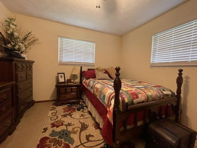 26 Leatherwood Branch