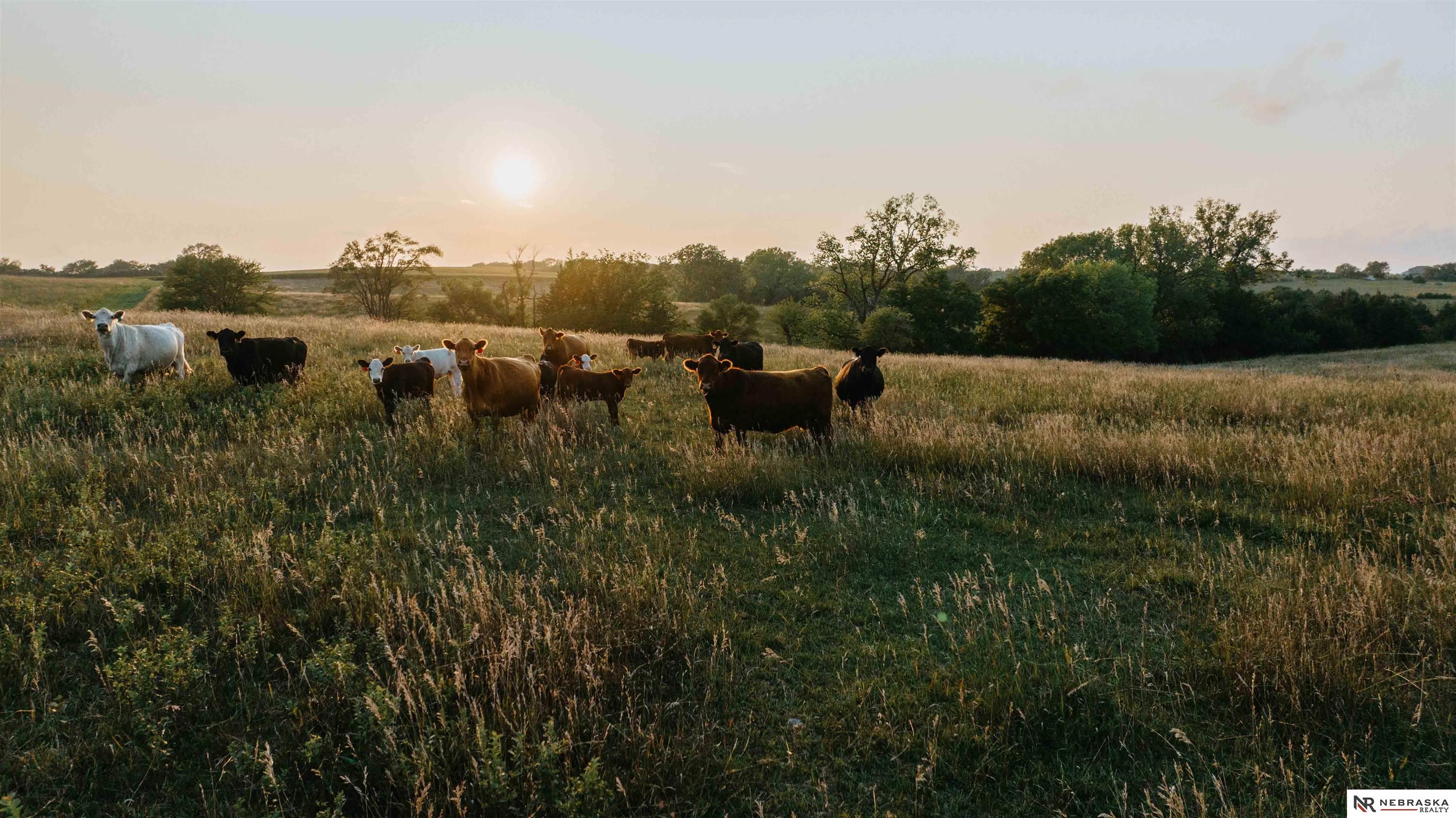 TBD McKelvie Road, Malcolm, NE, 68402
