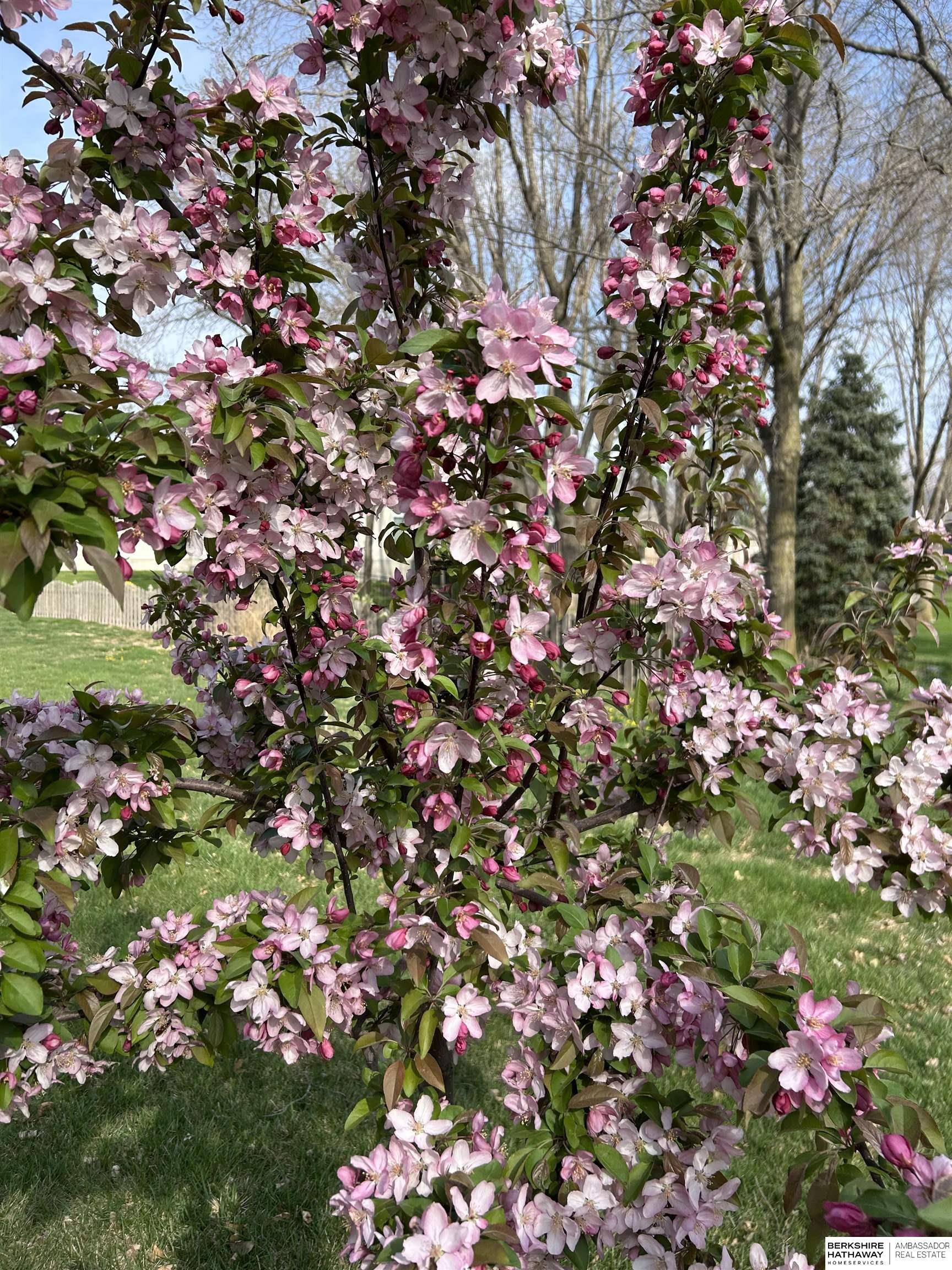 14700 42nd Street, Plattsmouth, NE, 68048