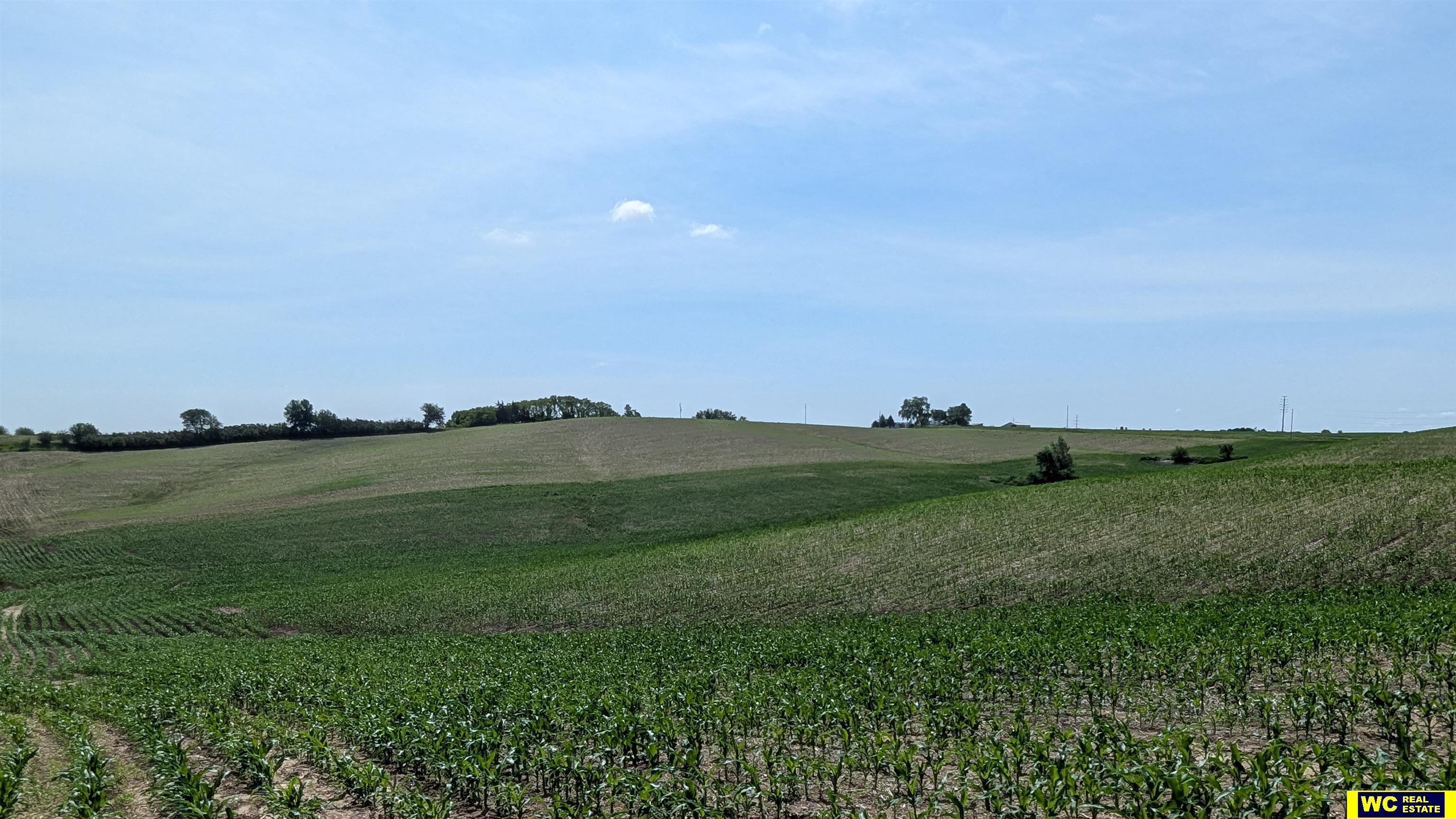 Tract 5 County Road 22 photo 9