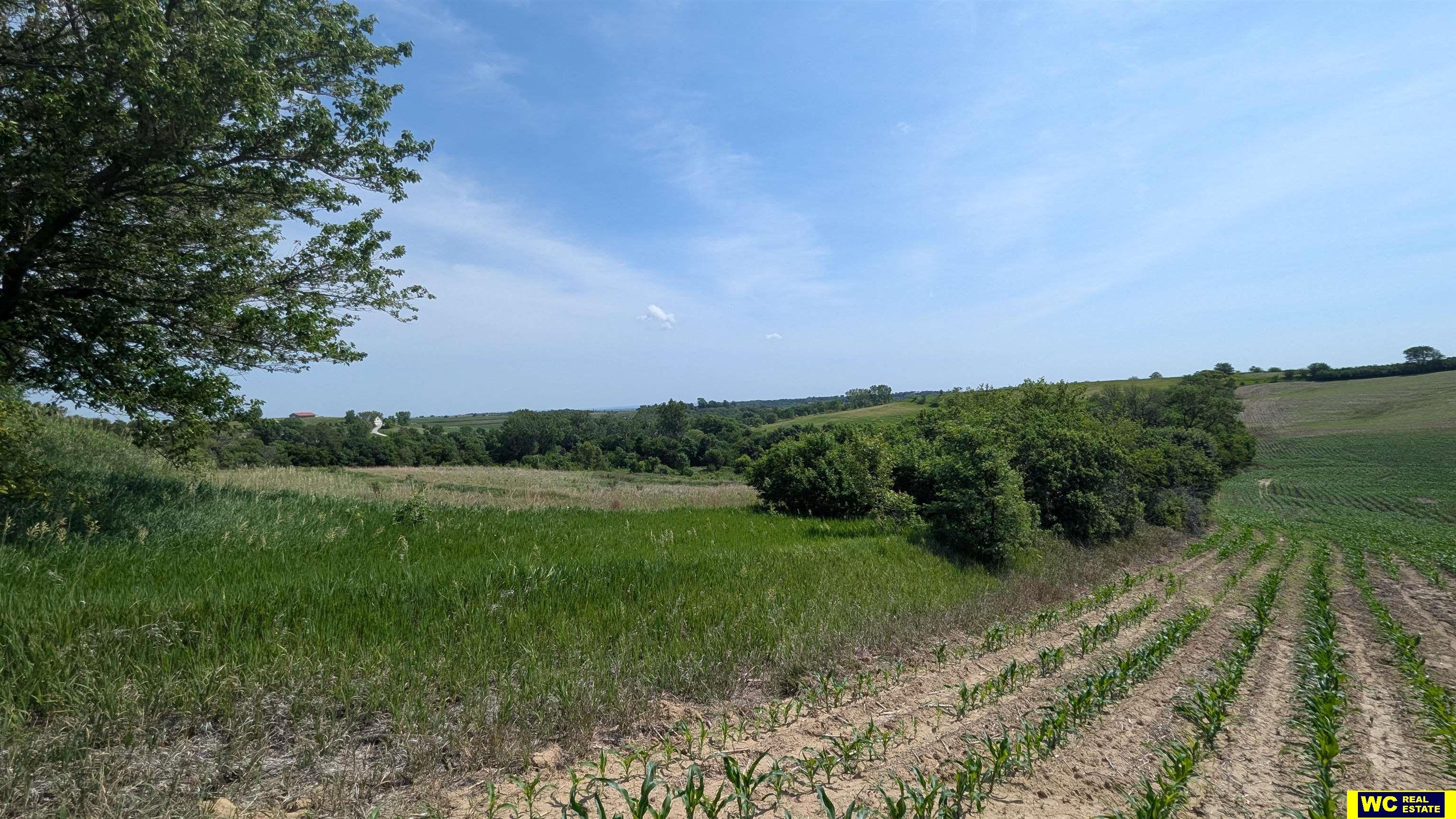 Tract 5 County Road 22 photo 10