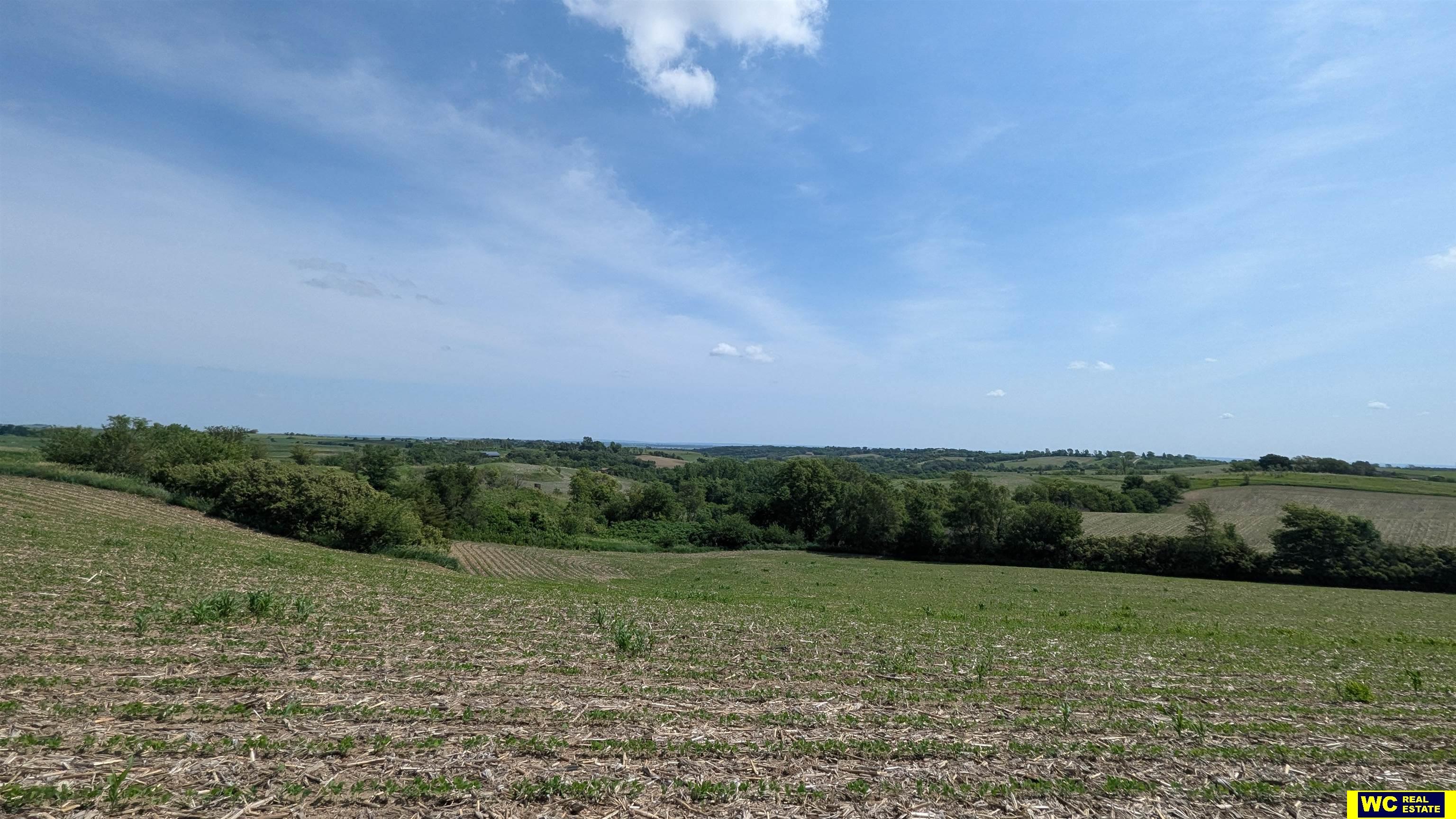 Tract 6 County Road 22 photo 9