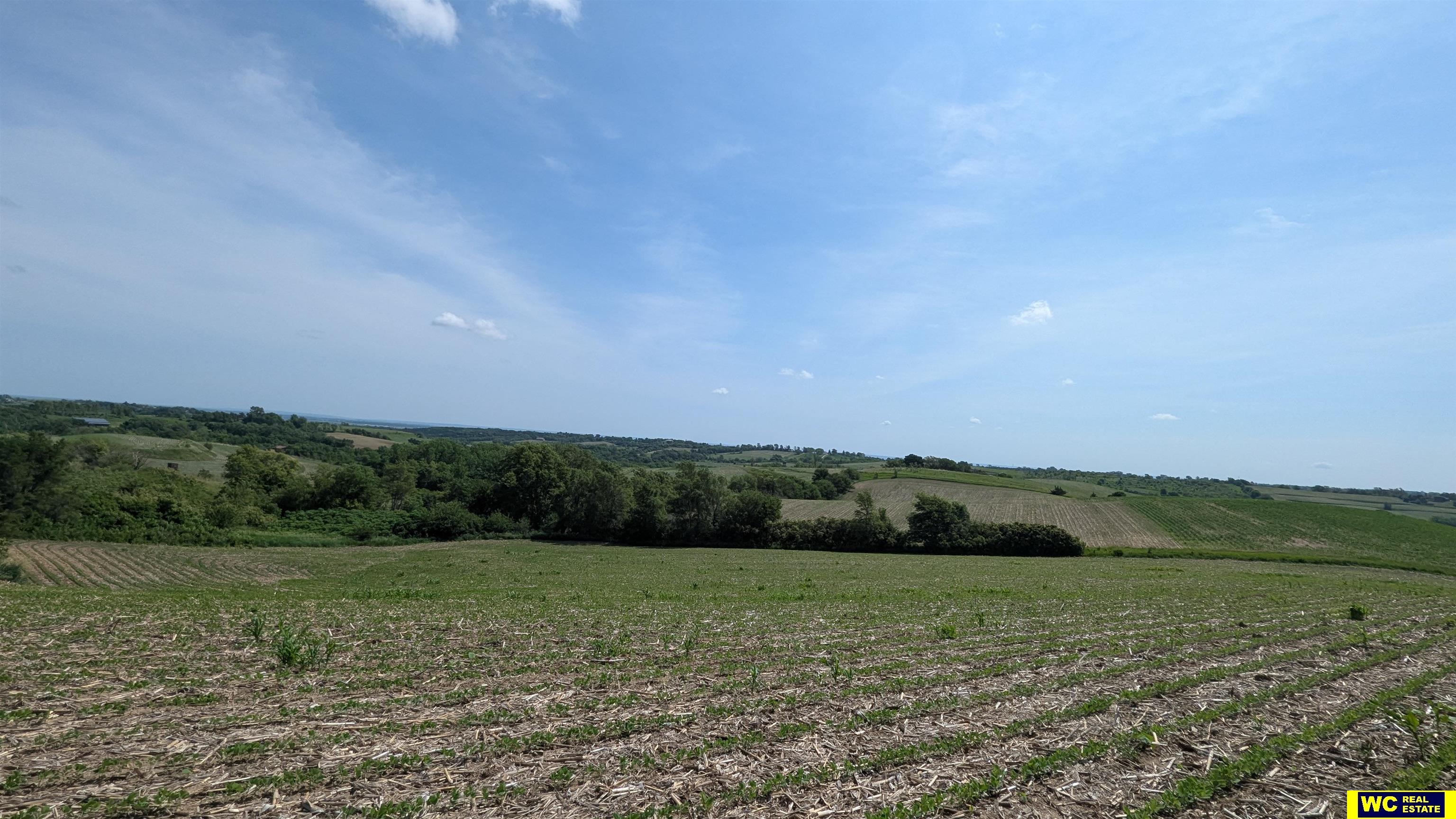 Tract 6 County Road 22 photo 10