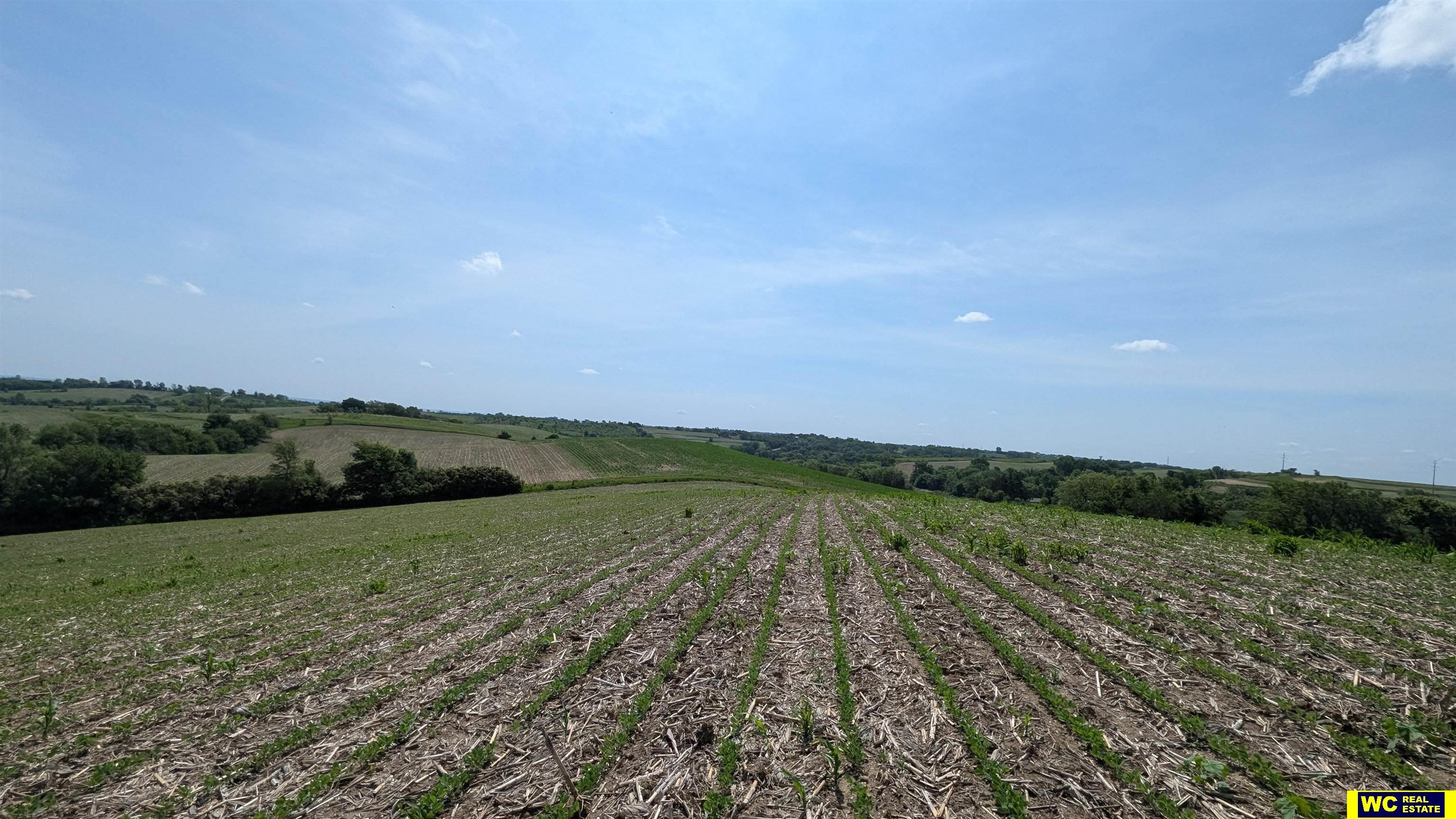 Tract 7 County Road 22 photo 8