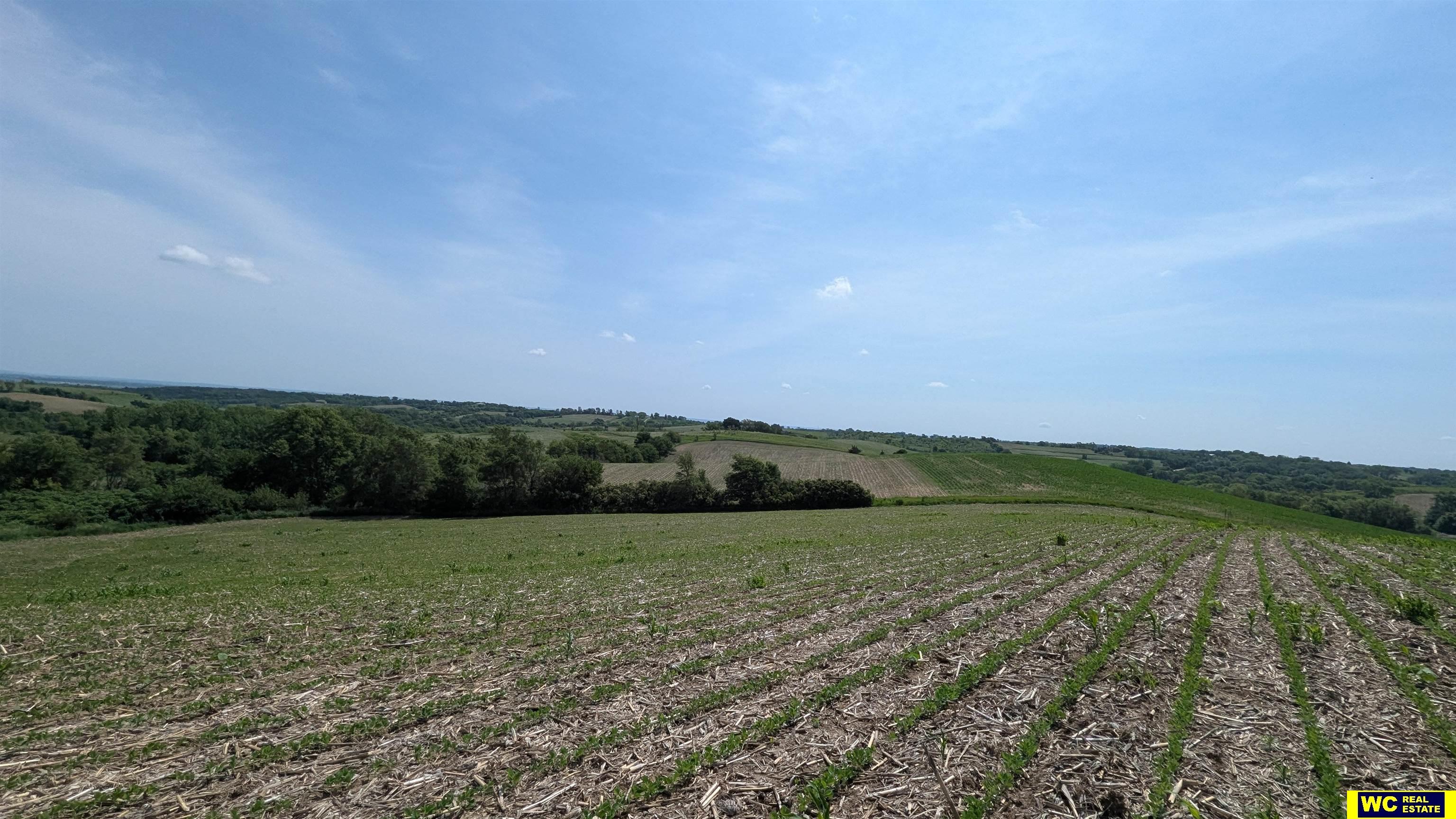 Tract 7 County Road 22 photo 9