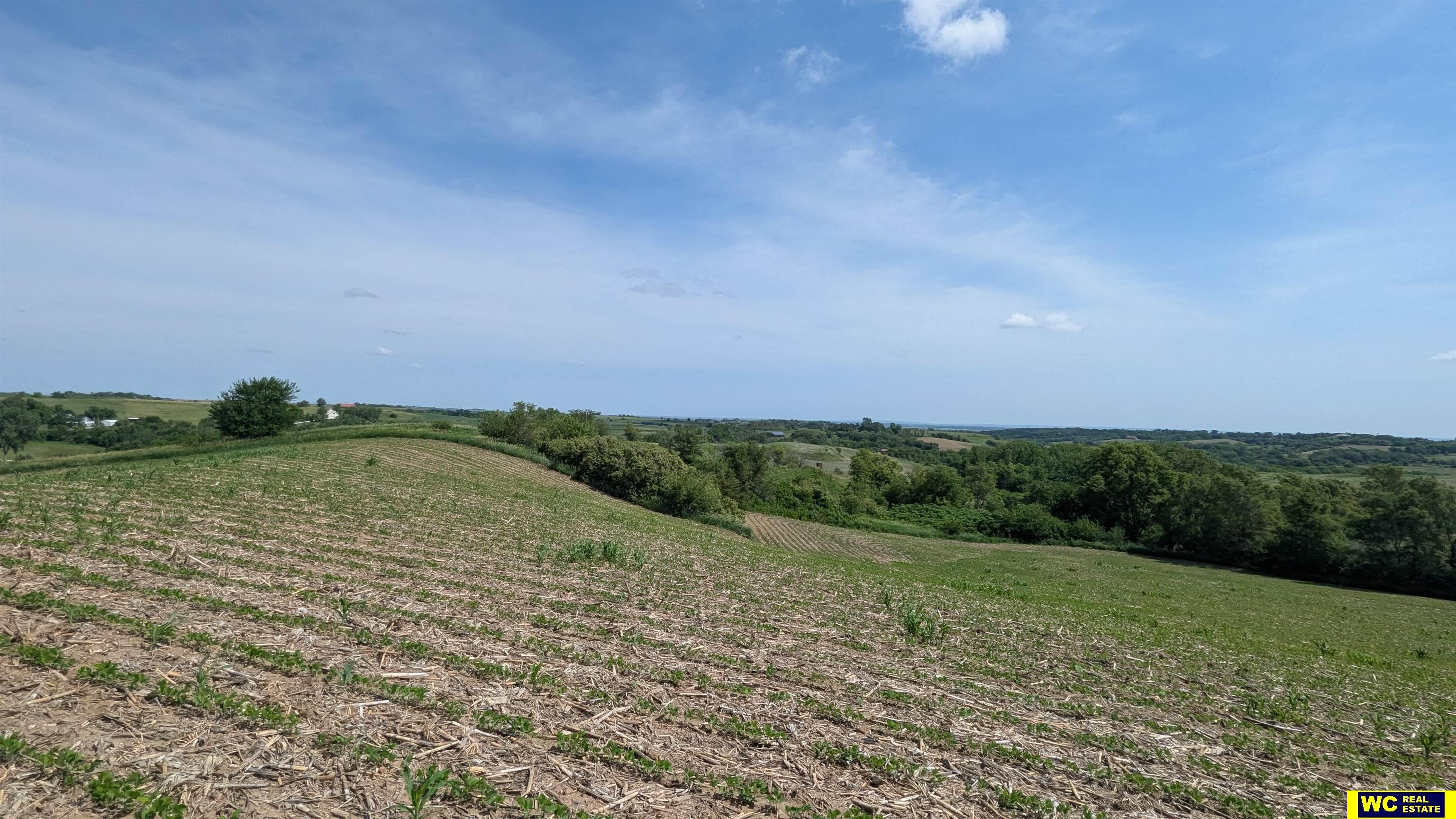 Tract 7 County Road 22 photo 10