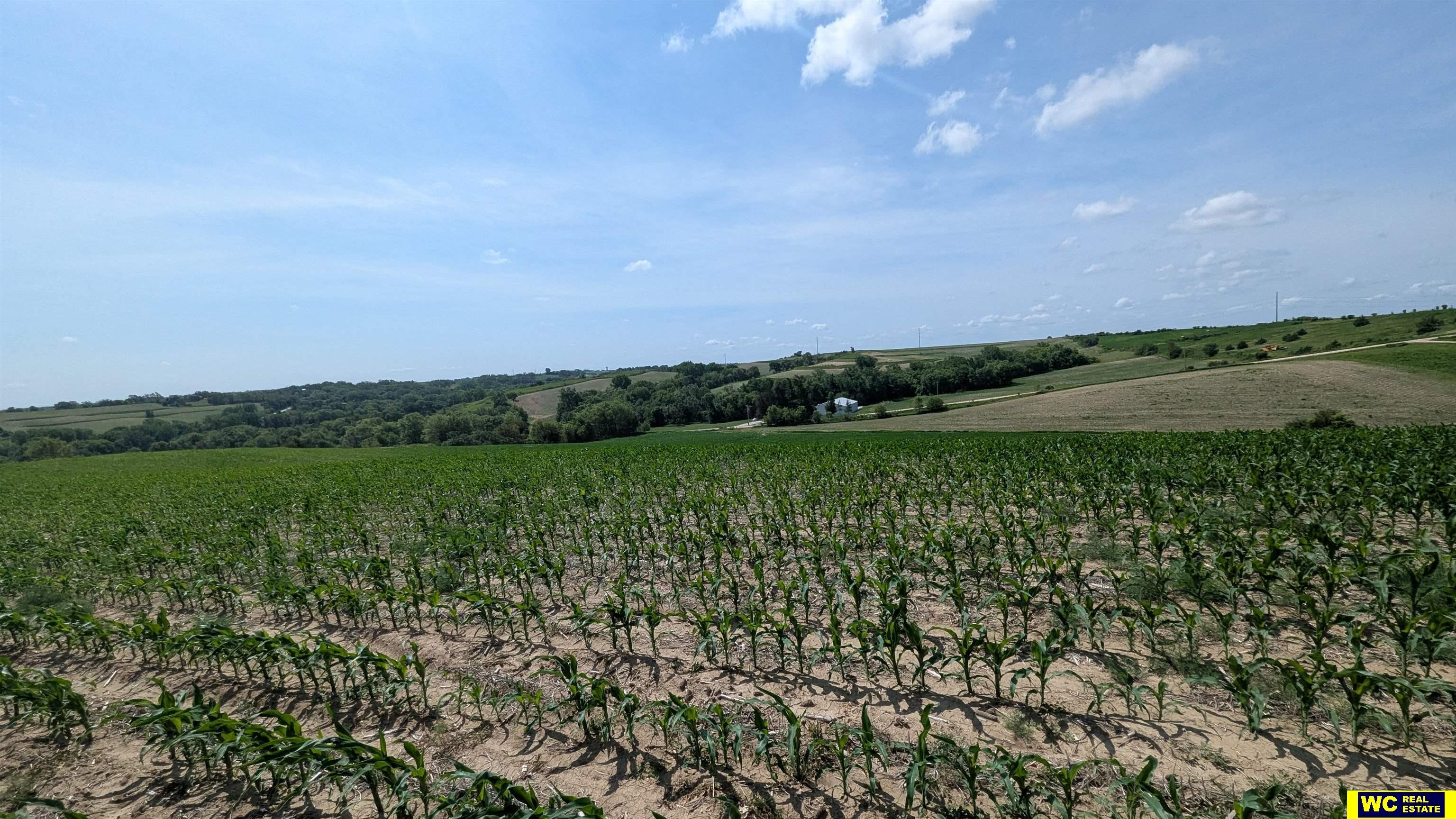 Tract 8 County Road 22 photo 9