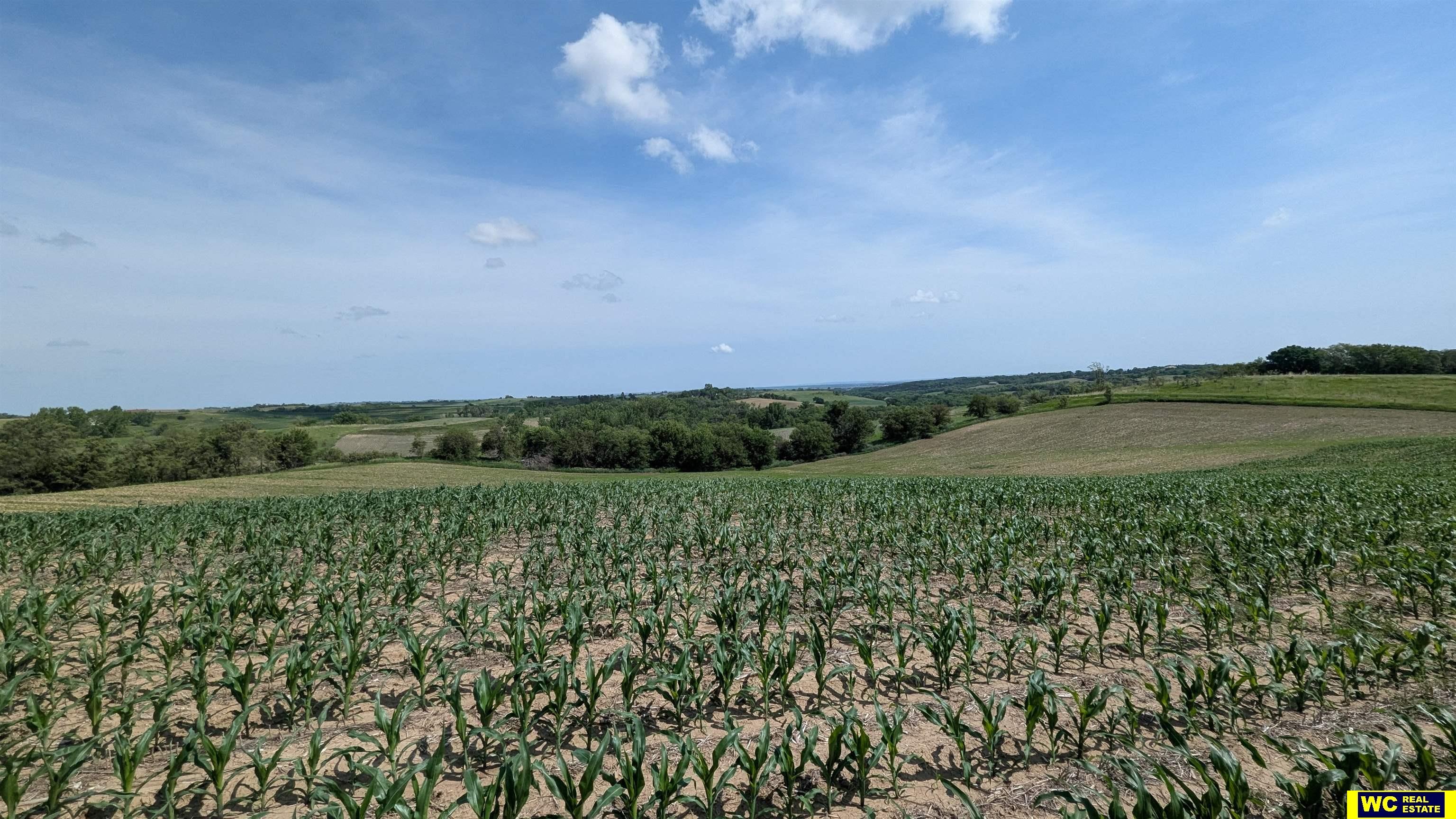 Tract 9 County Road 22 photo 9