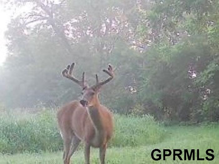 2910 County Road 29, Valley, NE, 68064