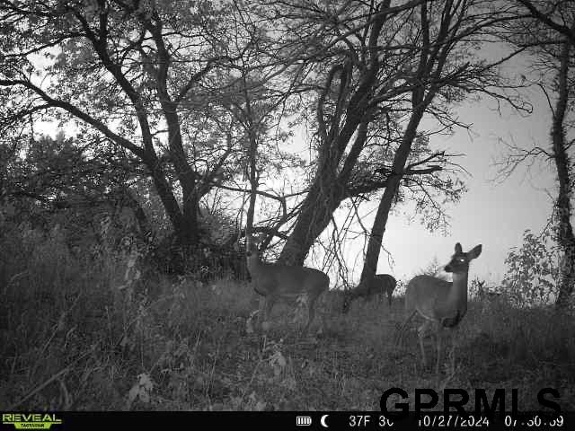 2910 County Road 29, Valley, NE, 68064