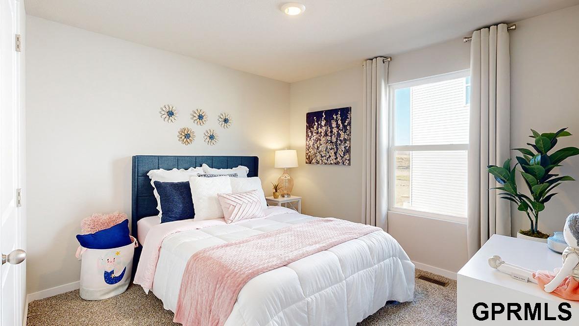 6678 Bluebell Street, Papillion, NE, 68133