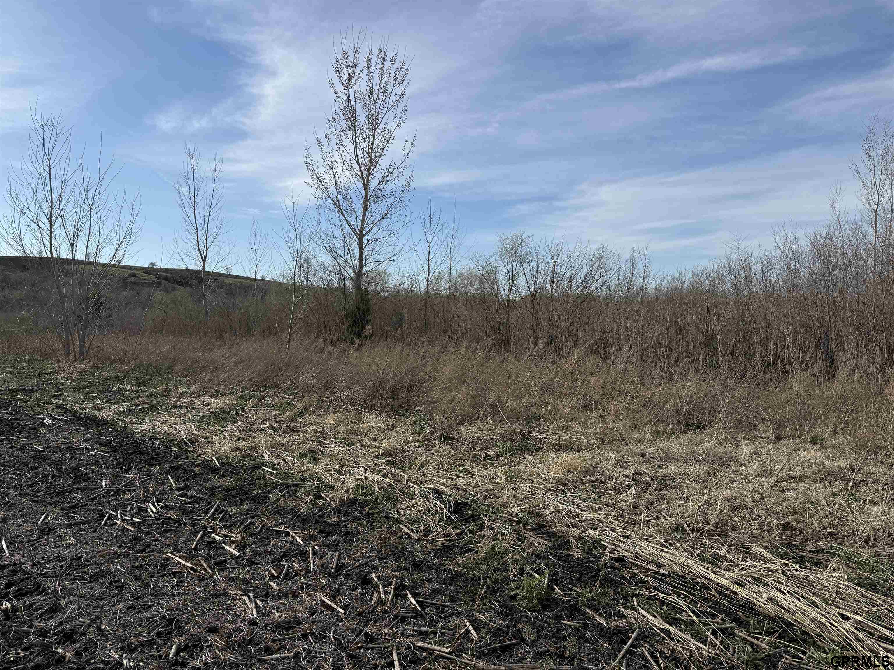 150 E I County Road, Tekamah, NE 68061 — MLS #22610517 — photo 3 of 19
