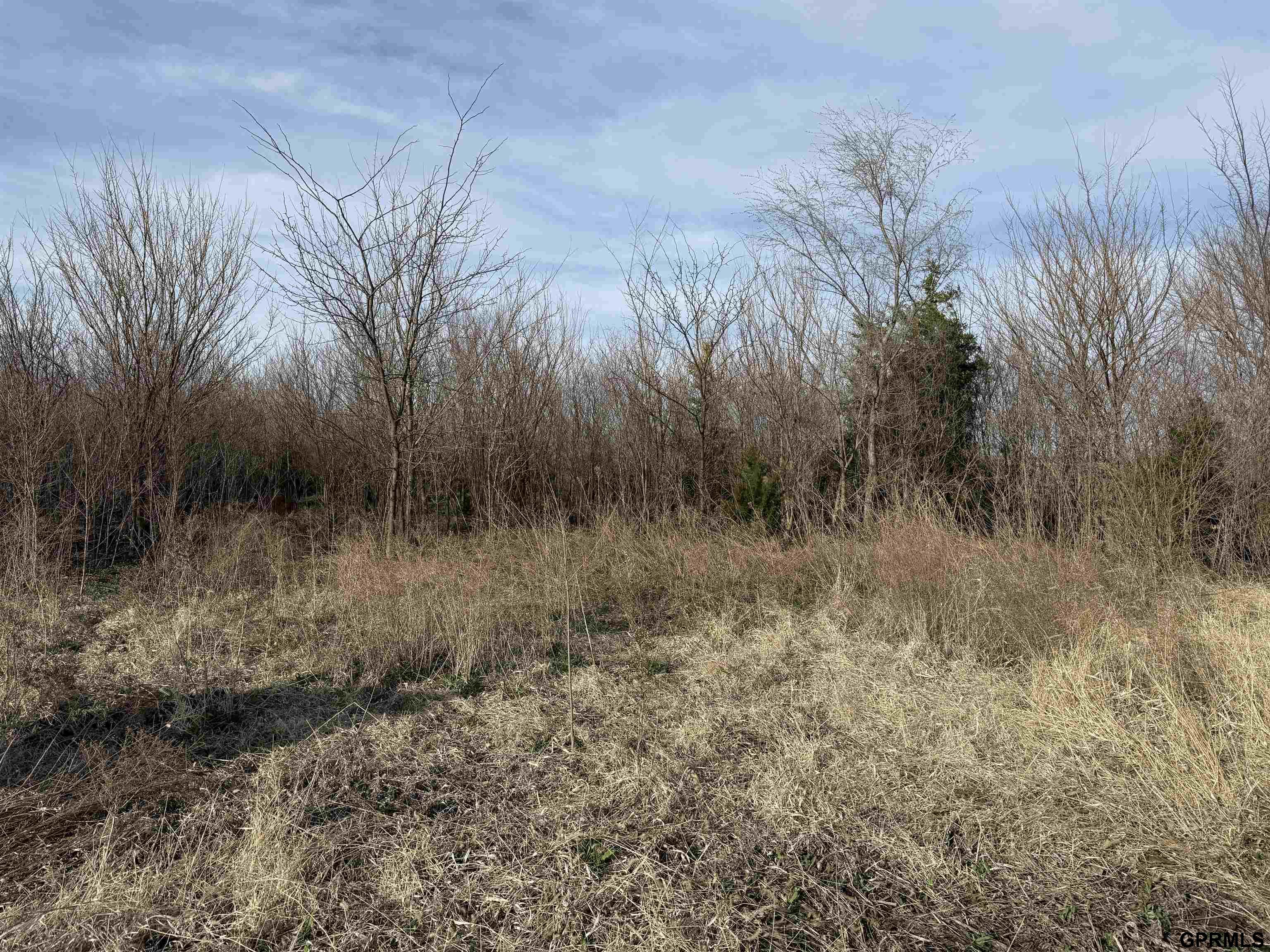 150 E I County Road, Tekamah, NE 68061 — MLS #22610517 — photo 6 of 19