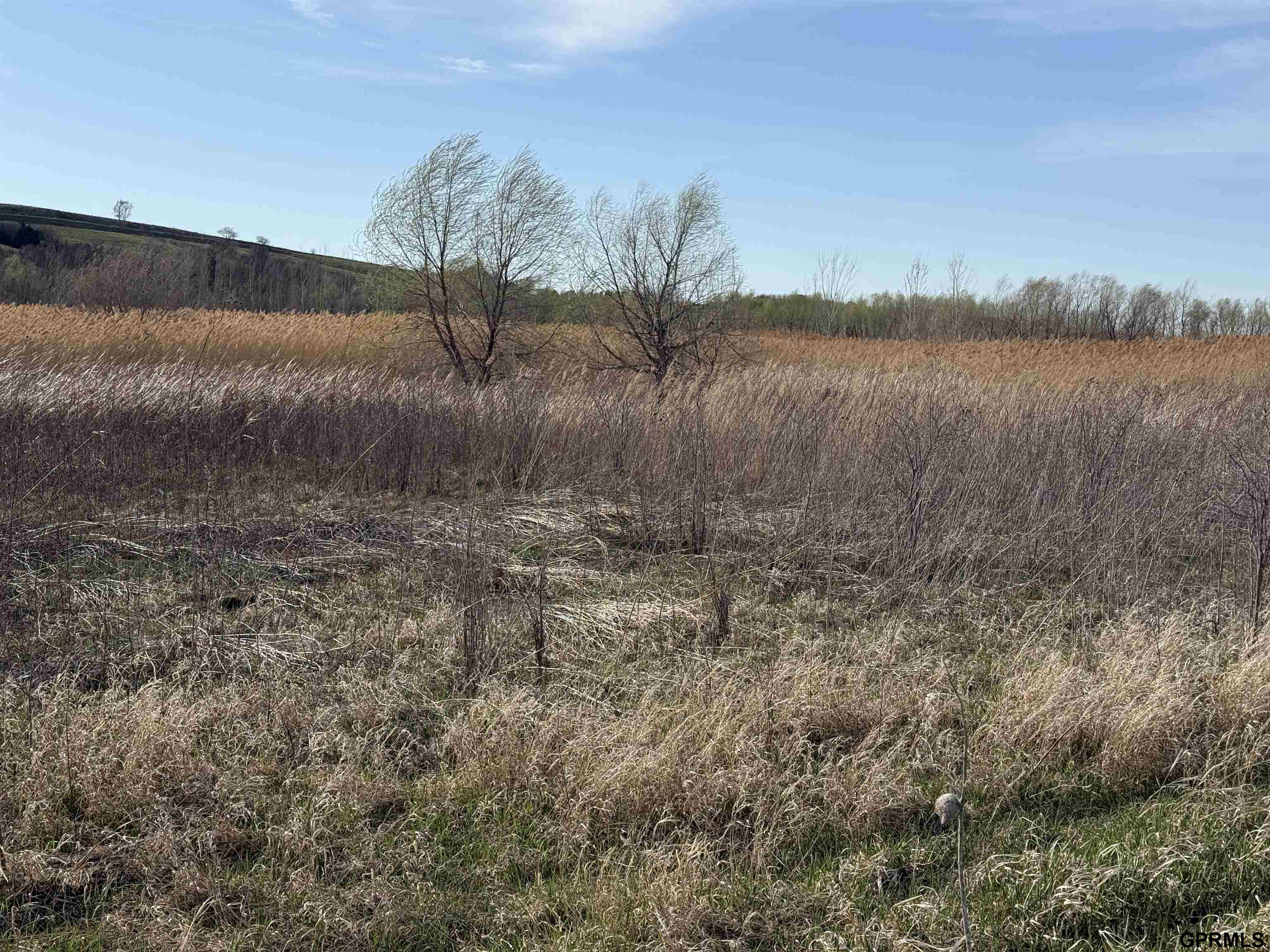 150 E I County Road, Tekamah, NE 68061 — MLS #22610517 — photo 7 of 19