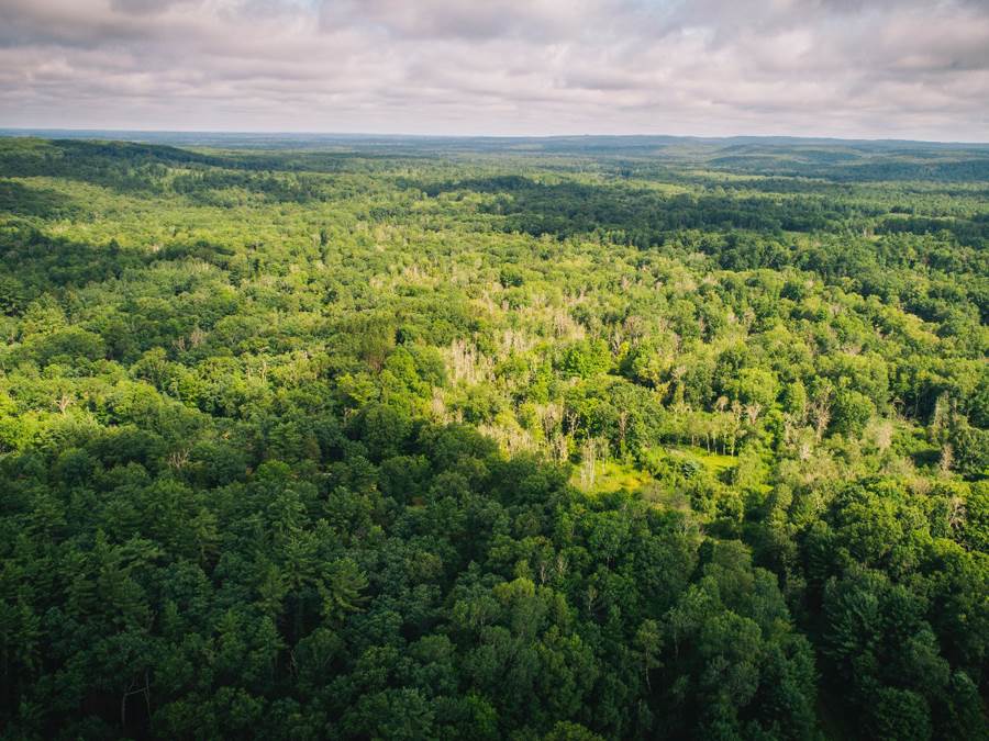 6378 S Mac Road, Baldwin, MI, 49304