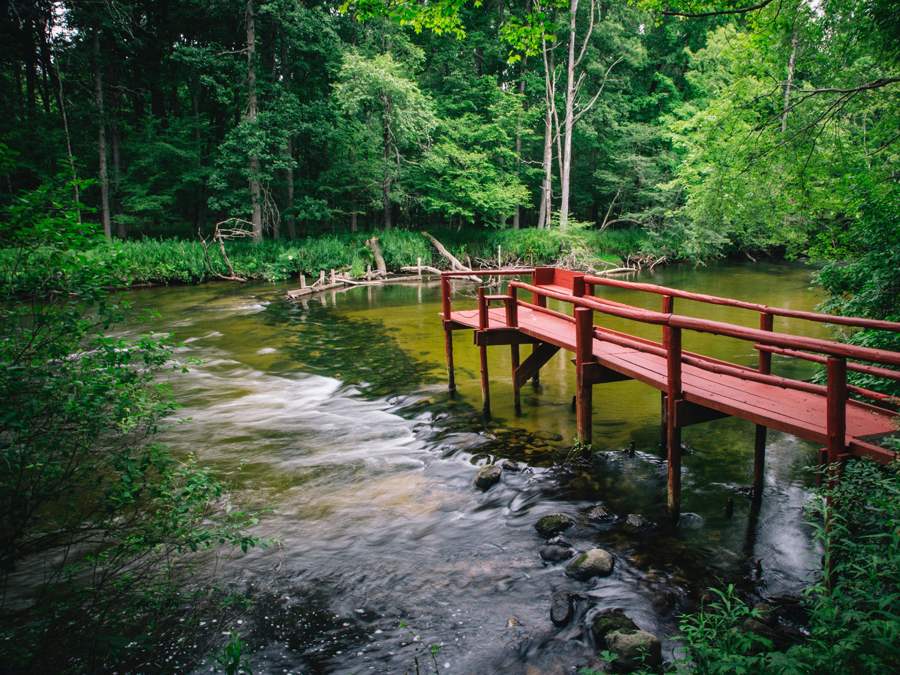 6378 S Mac Road, Baldwin, MI, 49304