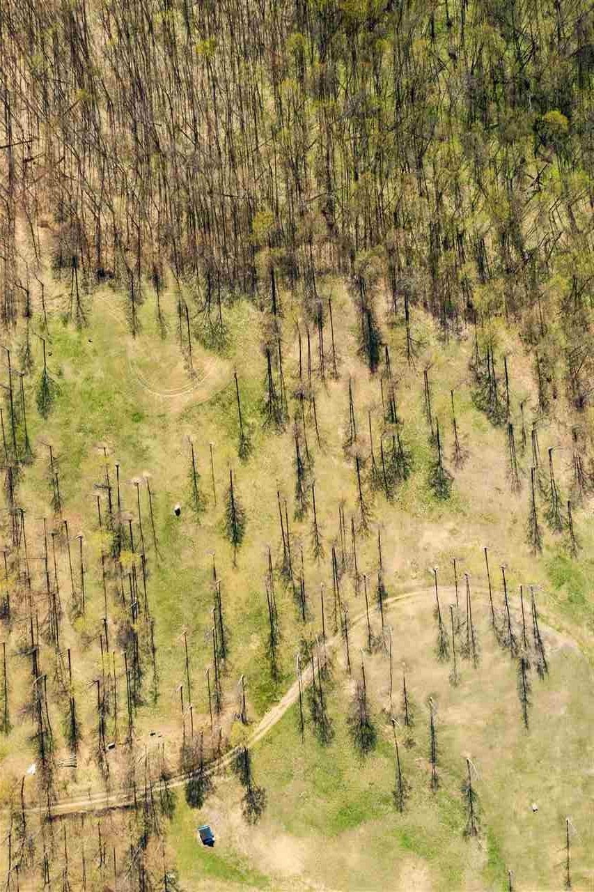 0 Timberlee Drive, Traverse City, MI, 49684