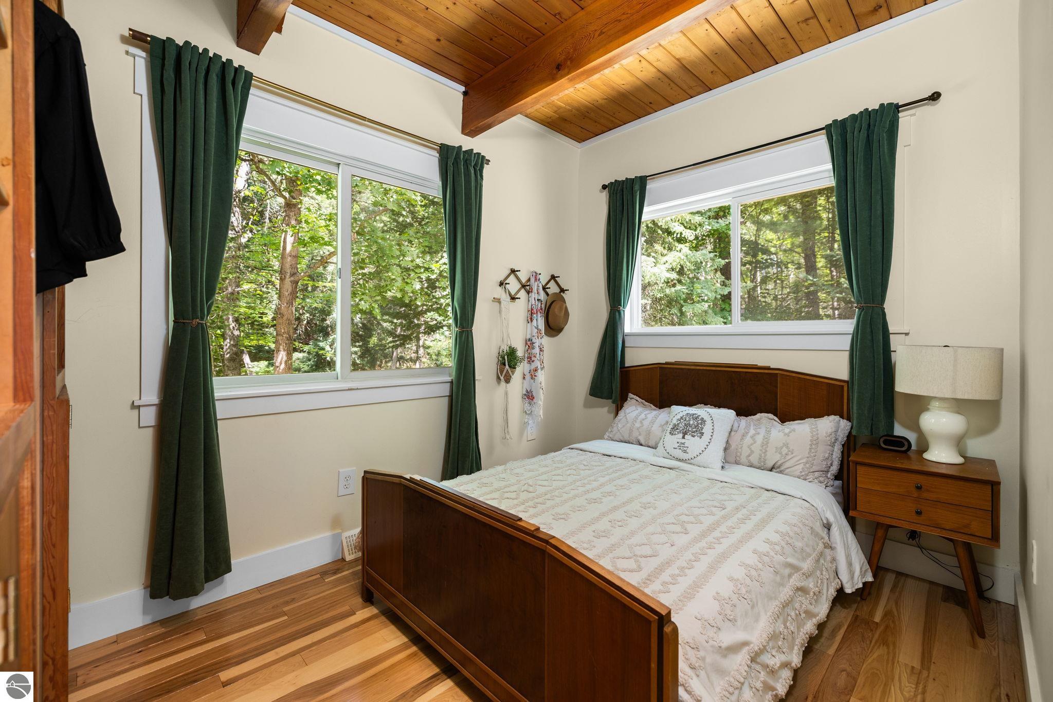 11625 East Drive, Fife Lake, MI 49633 — Photo 12