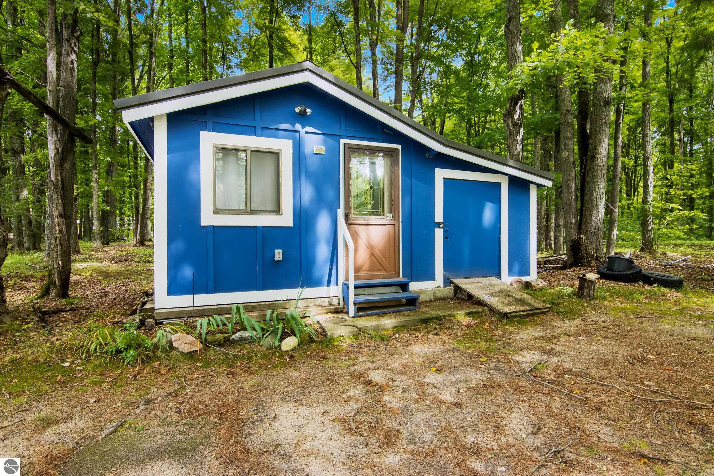 4446 E Shore Drive NE, Kalkaska, MI 49646 — Photo 12
