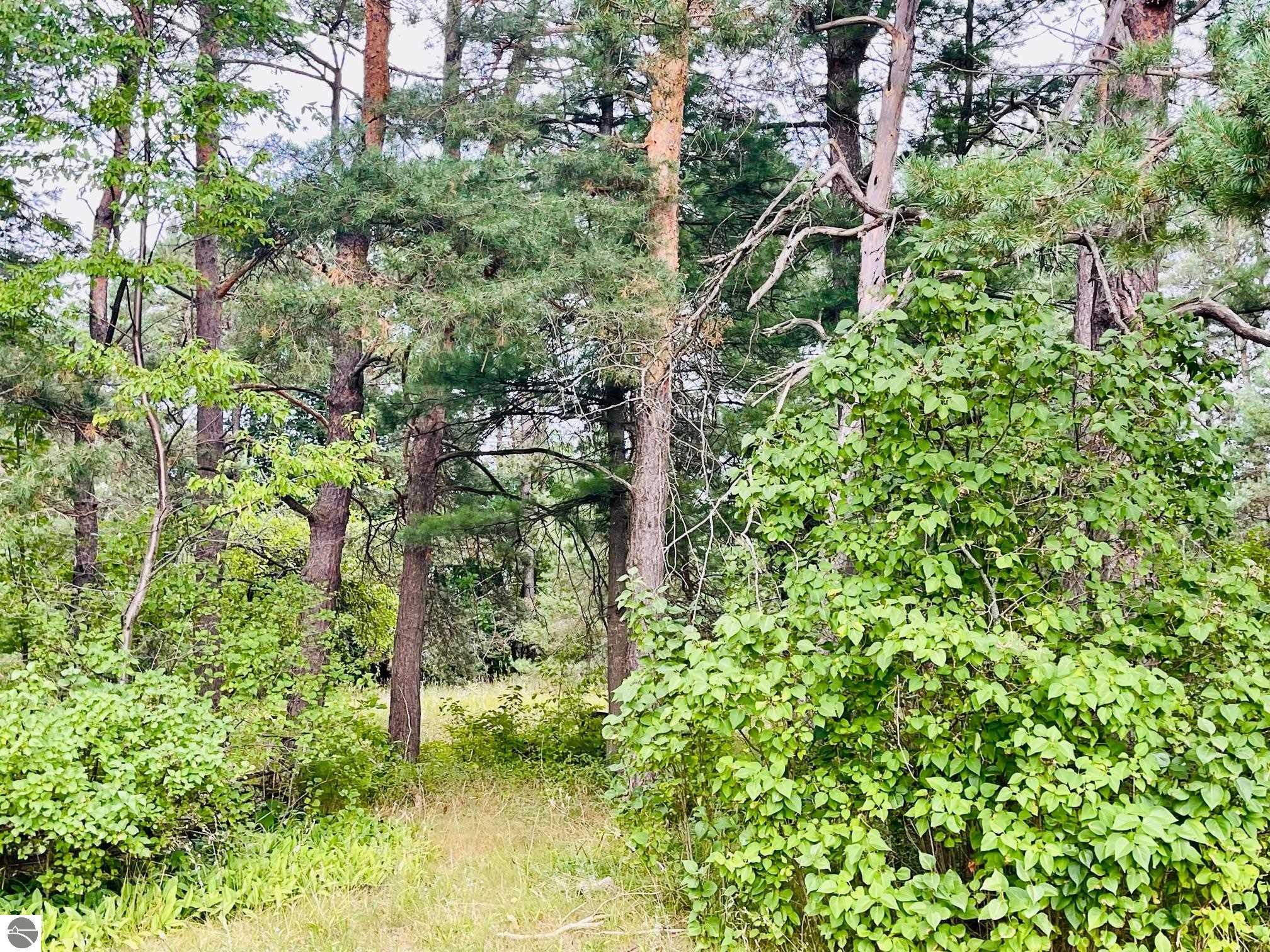 7848 S Us-131, Mancelona, MI 49659 — Photo 11