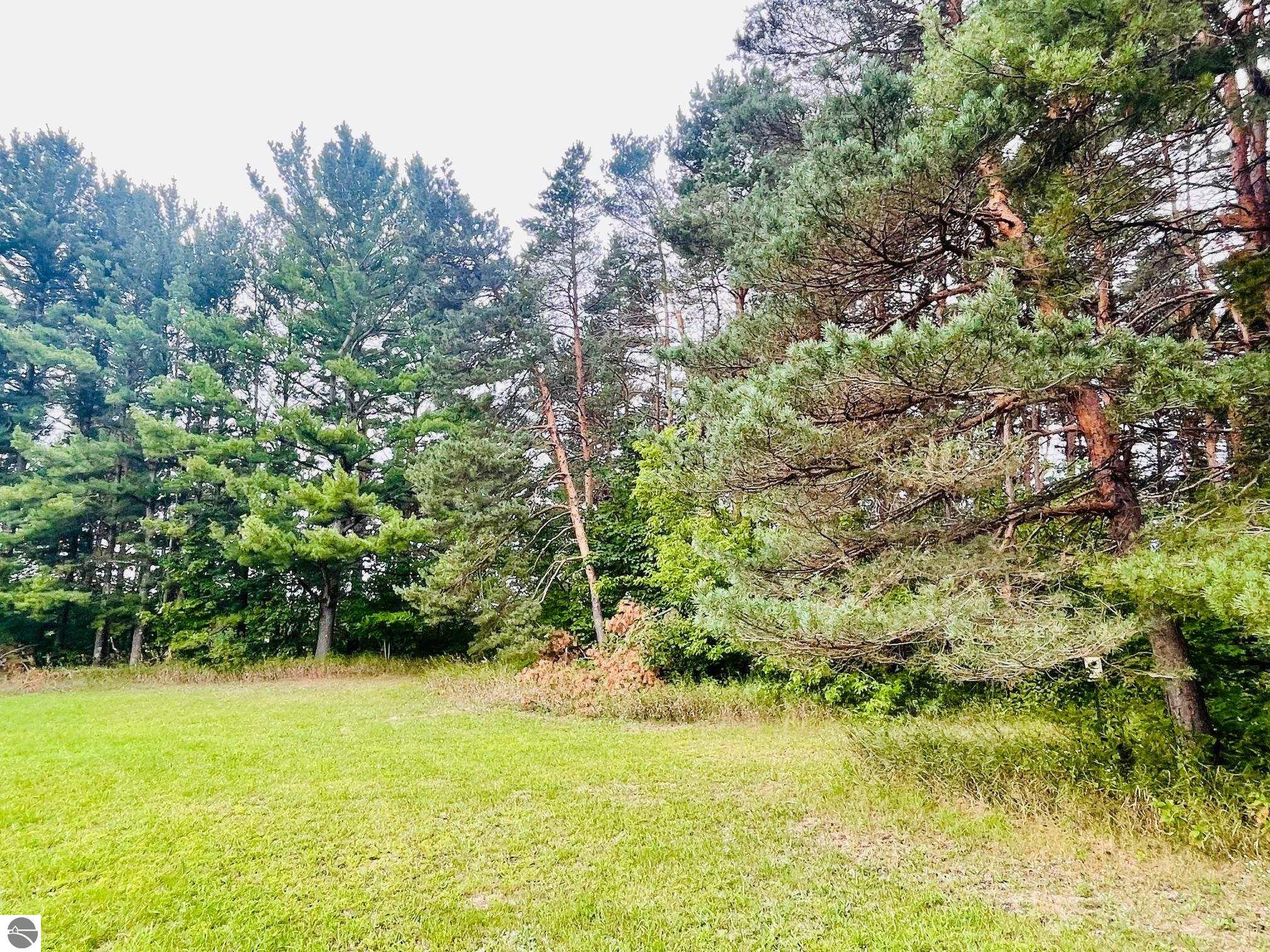 7848 S Us-131, Mancelona, MI 49659 — Photo 12