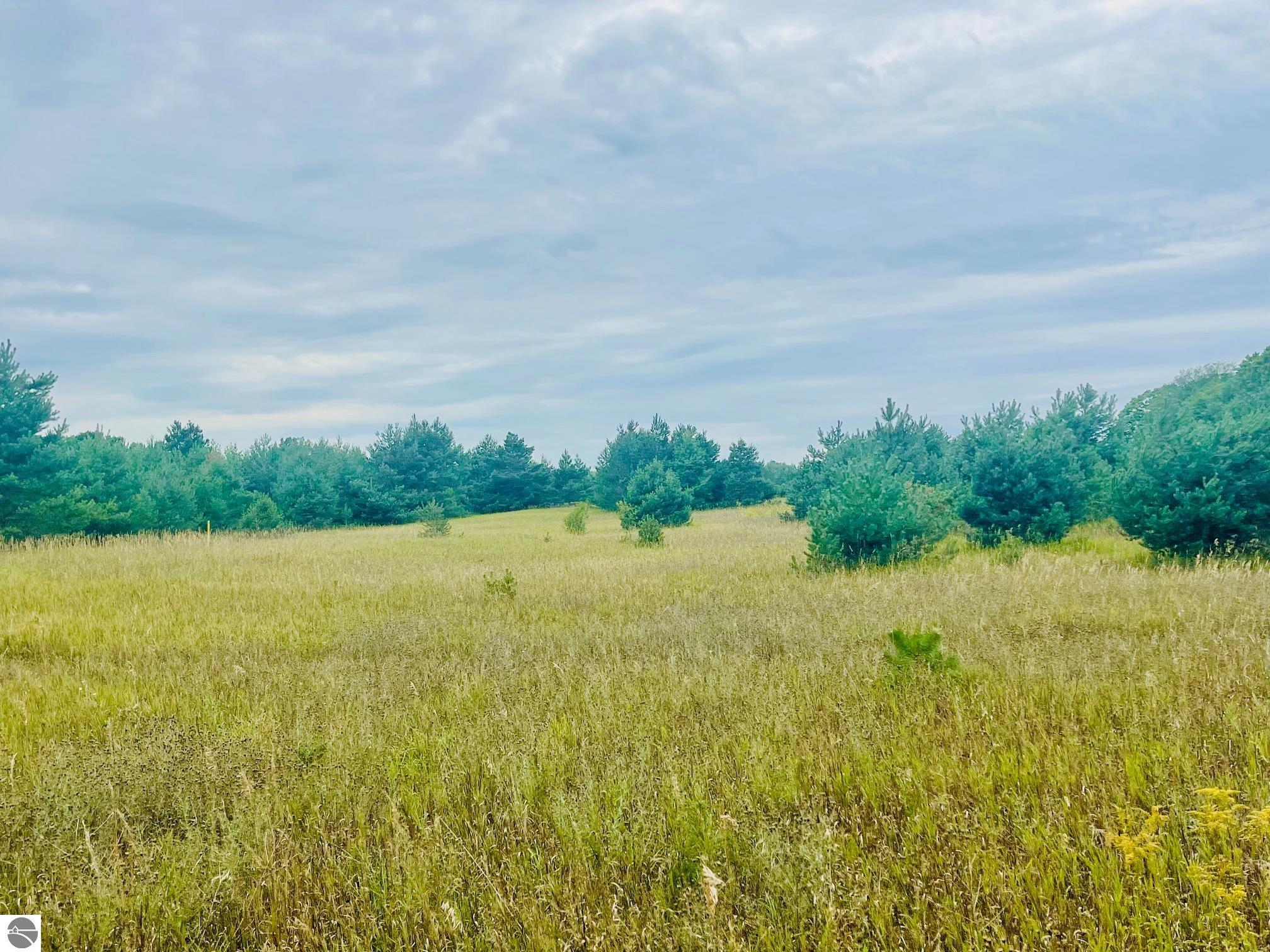7848 S Us-131, Mancelona, MI 49659 — Photo 13