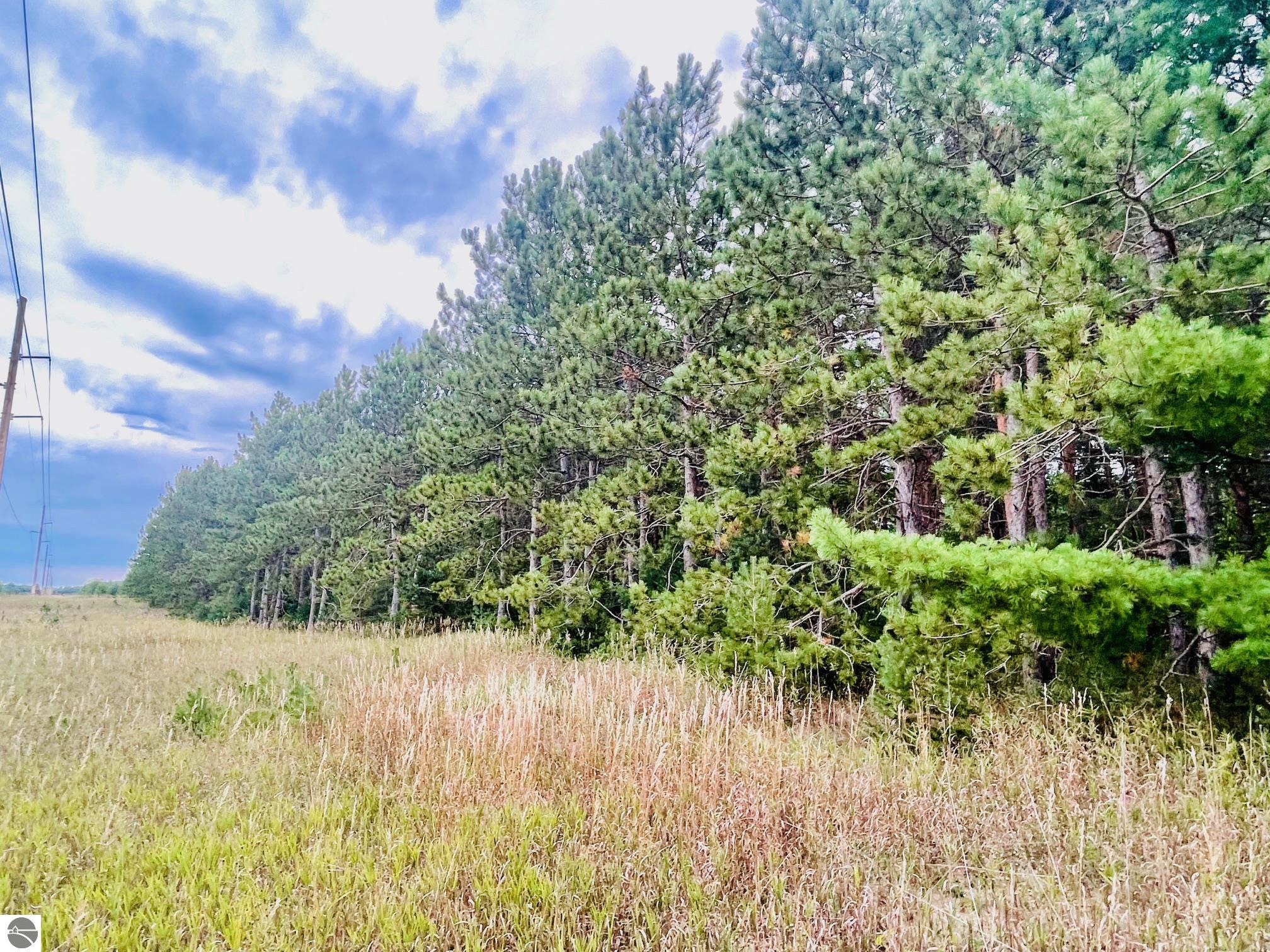 7848 S Us-131, Mancelona, MI 49659 — Photo 14
