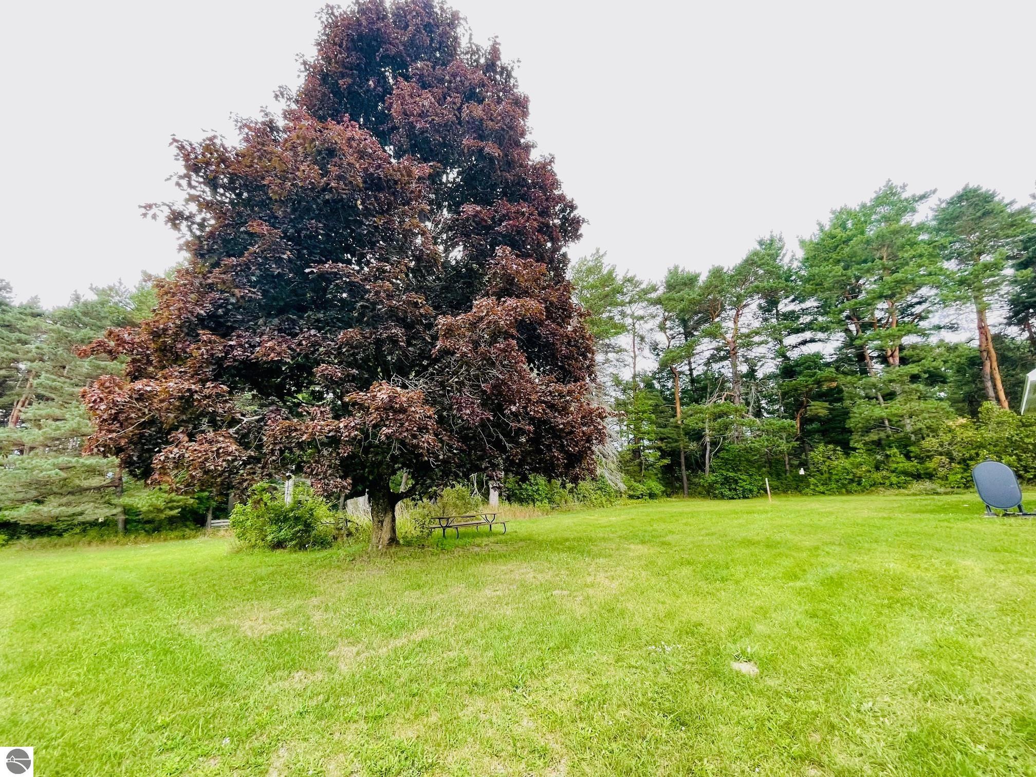 7848 S Us-131, Mancelona, MI 49659 — Photo 10
