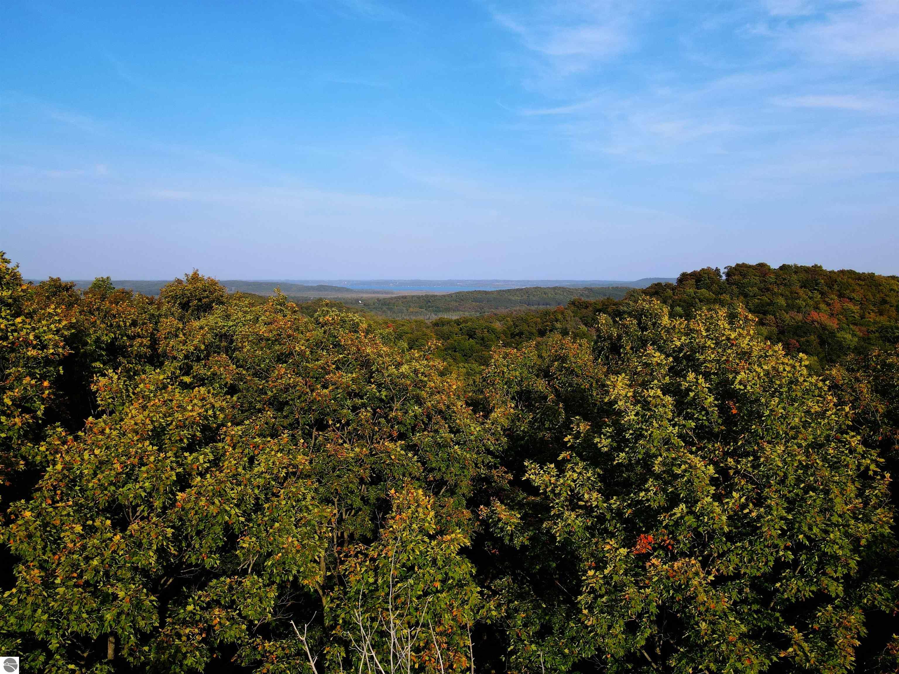 10981 S Tower Road, Maple City, MI 49664 — Photo 49