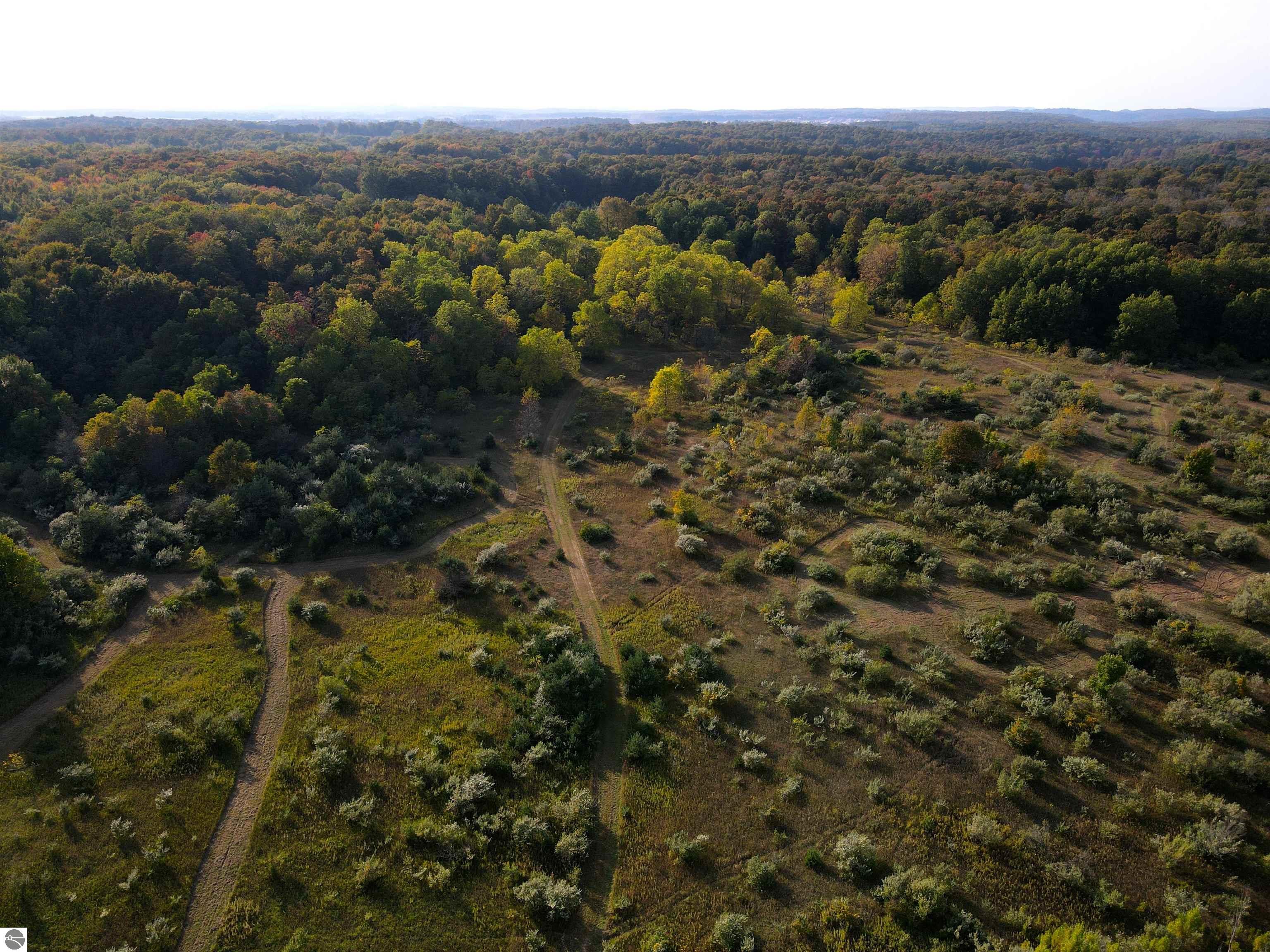 10981 S Tower Road, Maple City, MI 49664 — Photo 59