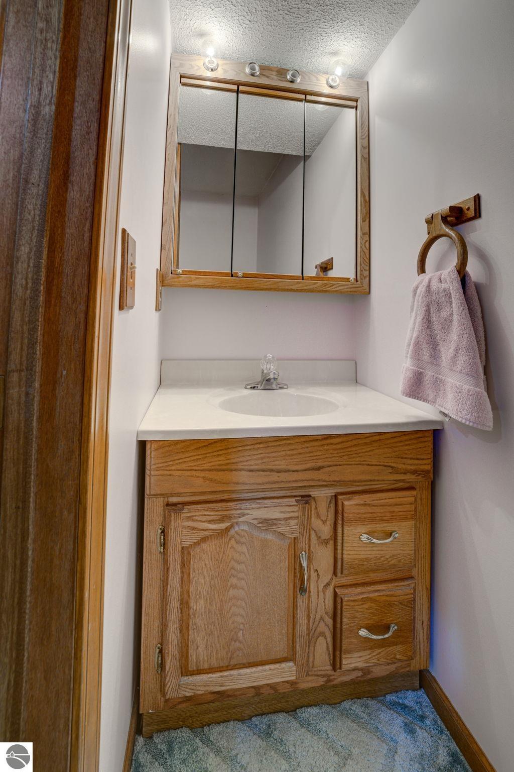 12199 S Lincoln Hollow, Cedar, MI 49621 — Photo 42