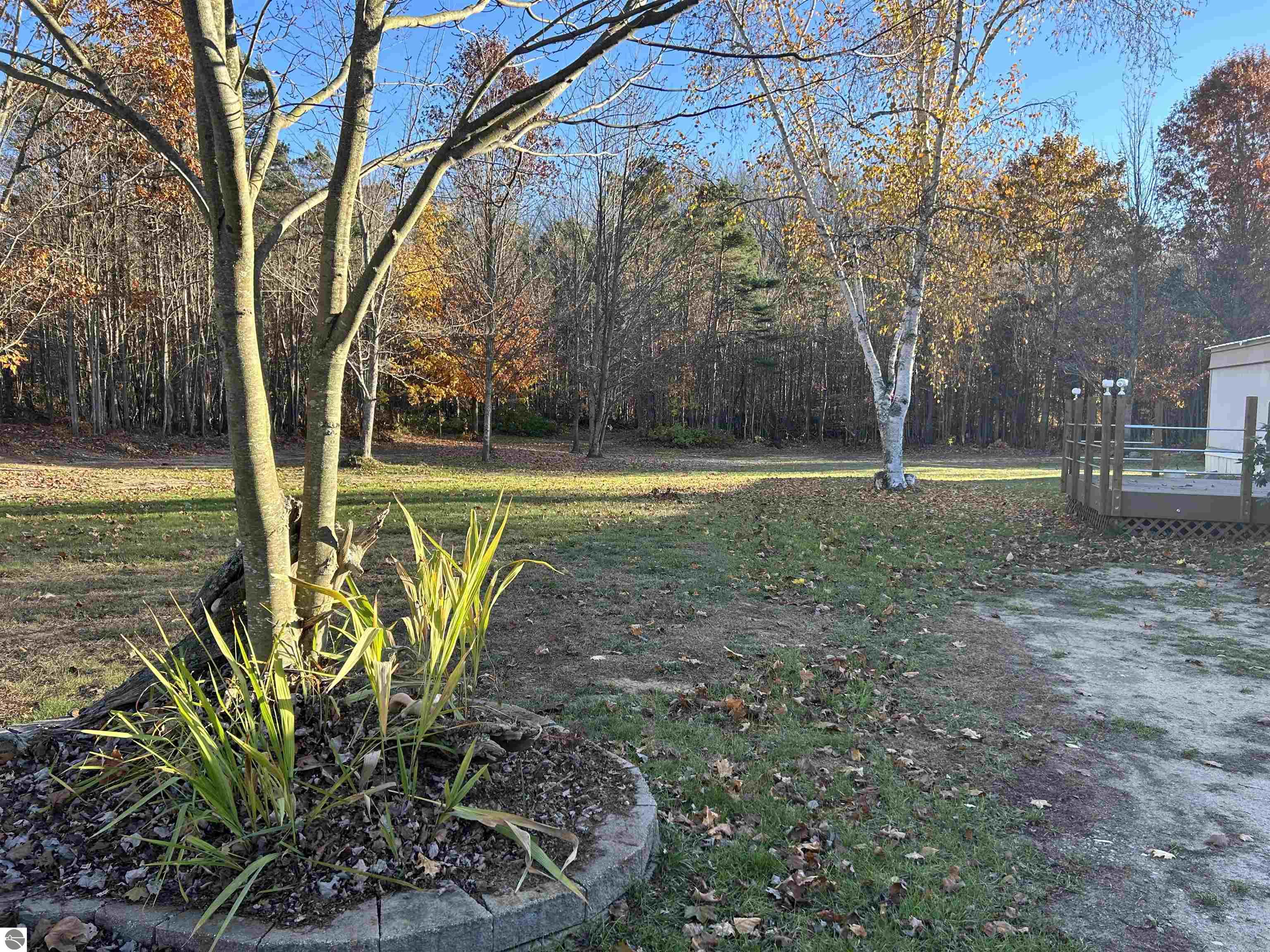857 Thomas Road SW, Kalkaska, MI 49680 — Photo 12