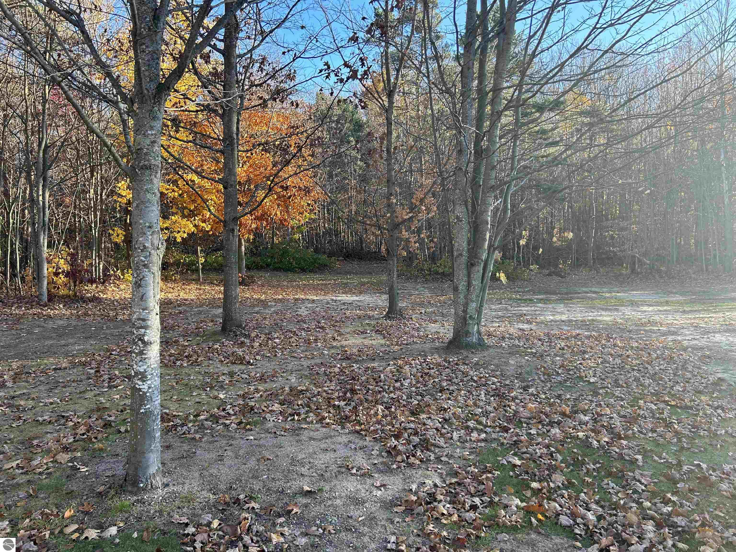 857 Thomas Road SW, Kalkaska, MI 49680 — Photo 13