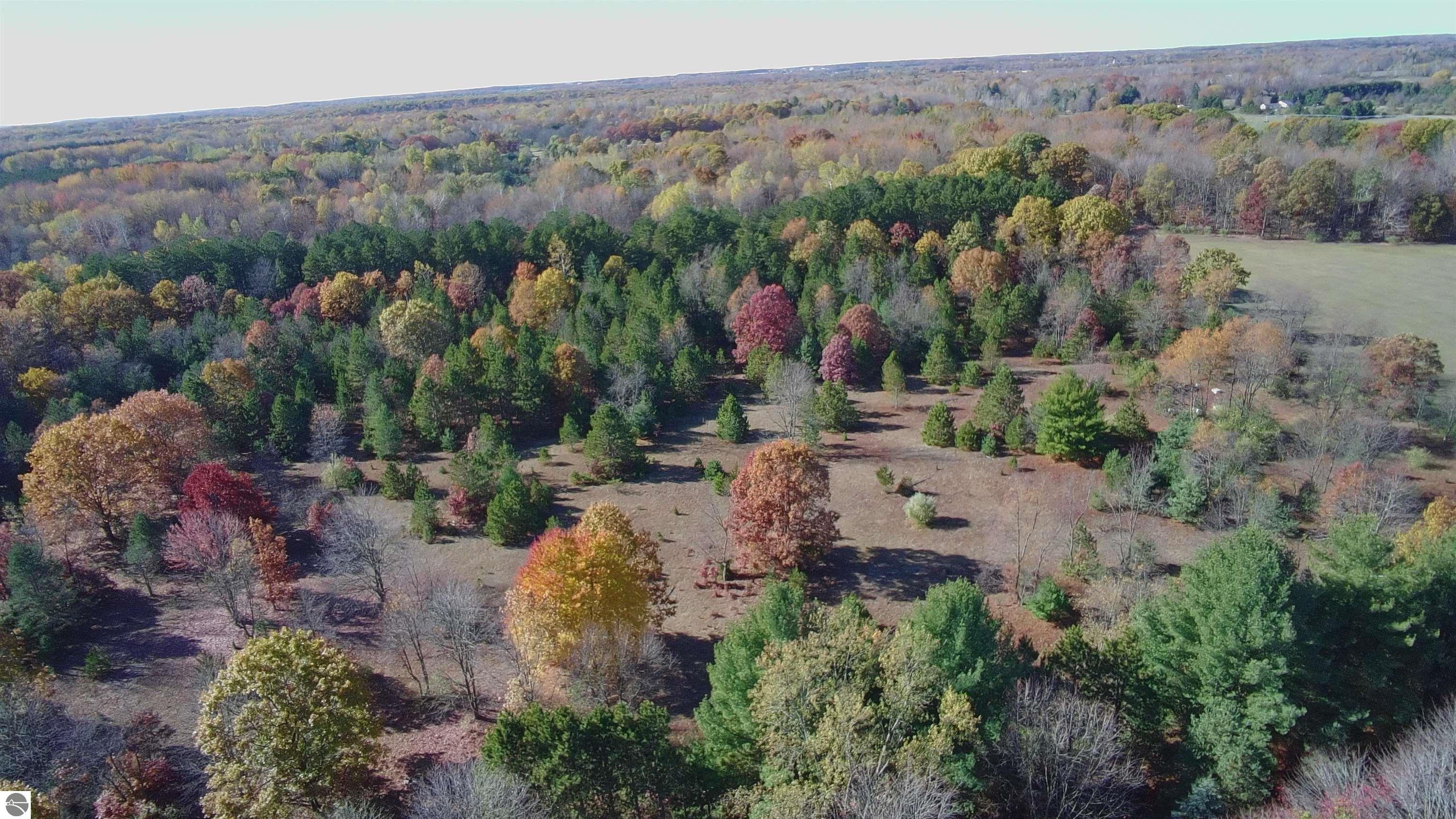 3289 N Ferris Road, Sumner, MI 48889 — Photo 46