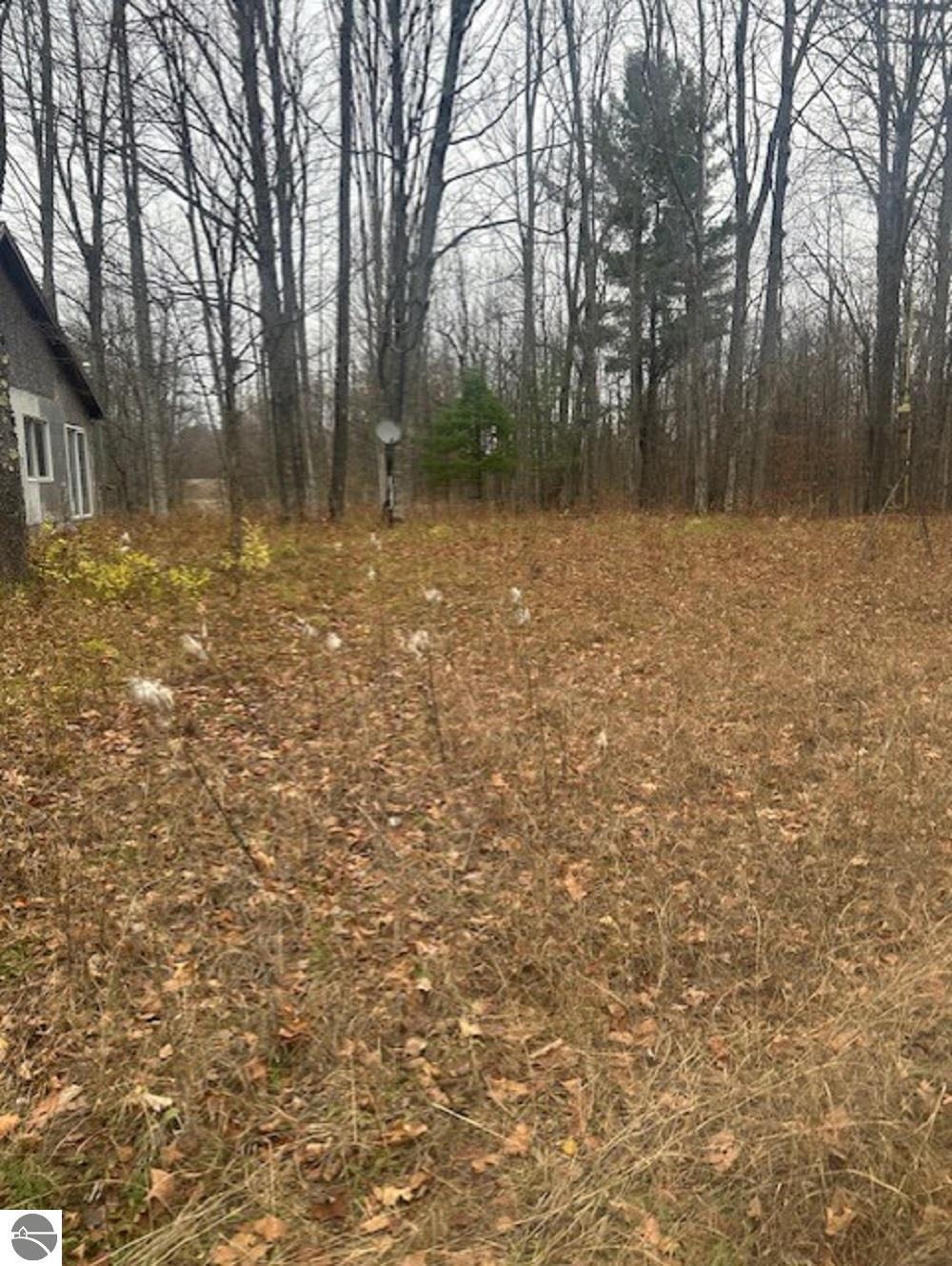 10763 Aylsworth Road, Beulah, MI 49617 — Photo 25