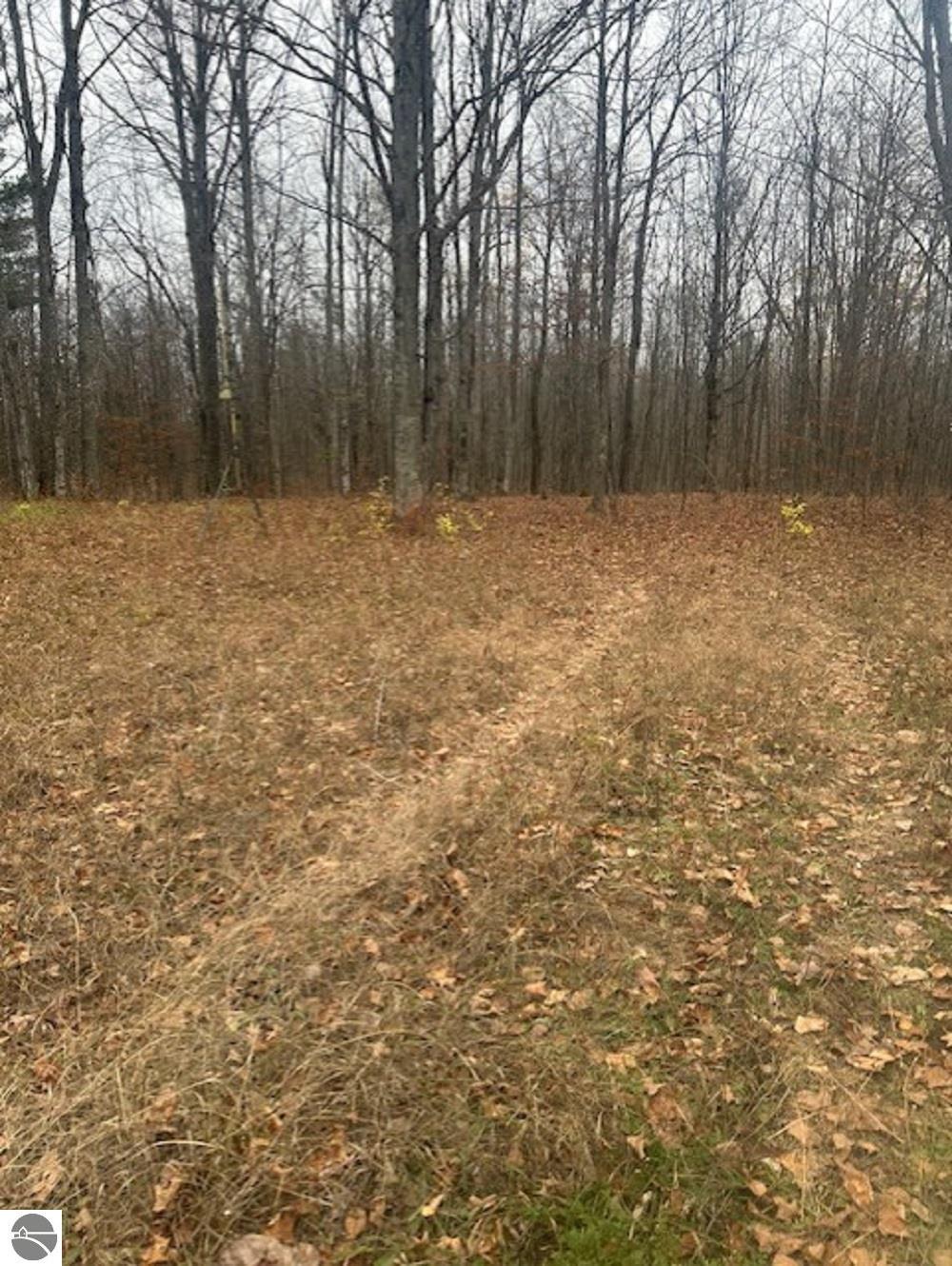 10763 Aylsworth Road, Beulah, MI 49617 — Photo 29