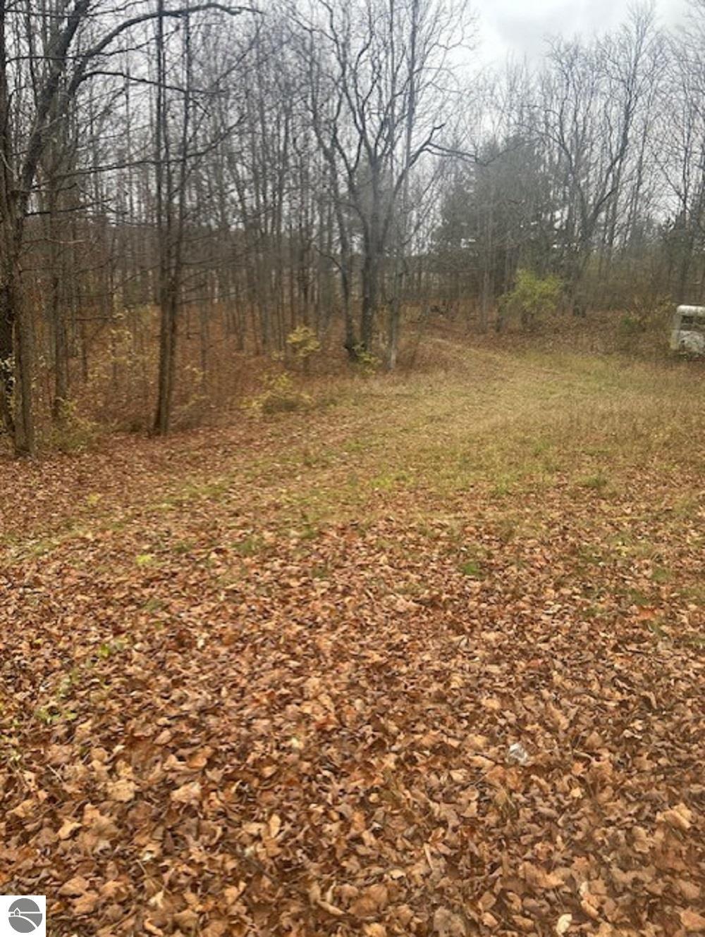 10763 Aylsworth Road, Beulah, MI 49617 — Photo 30
