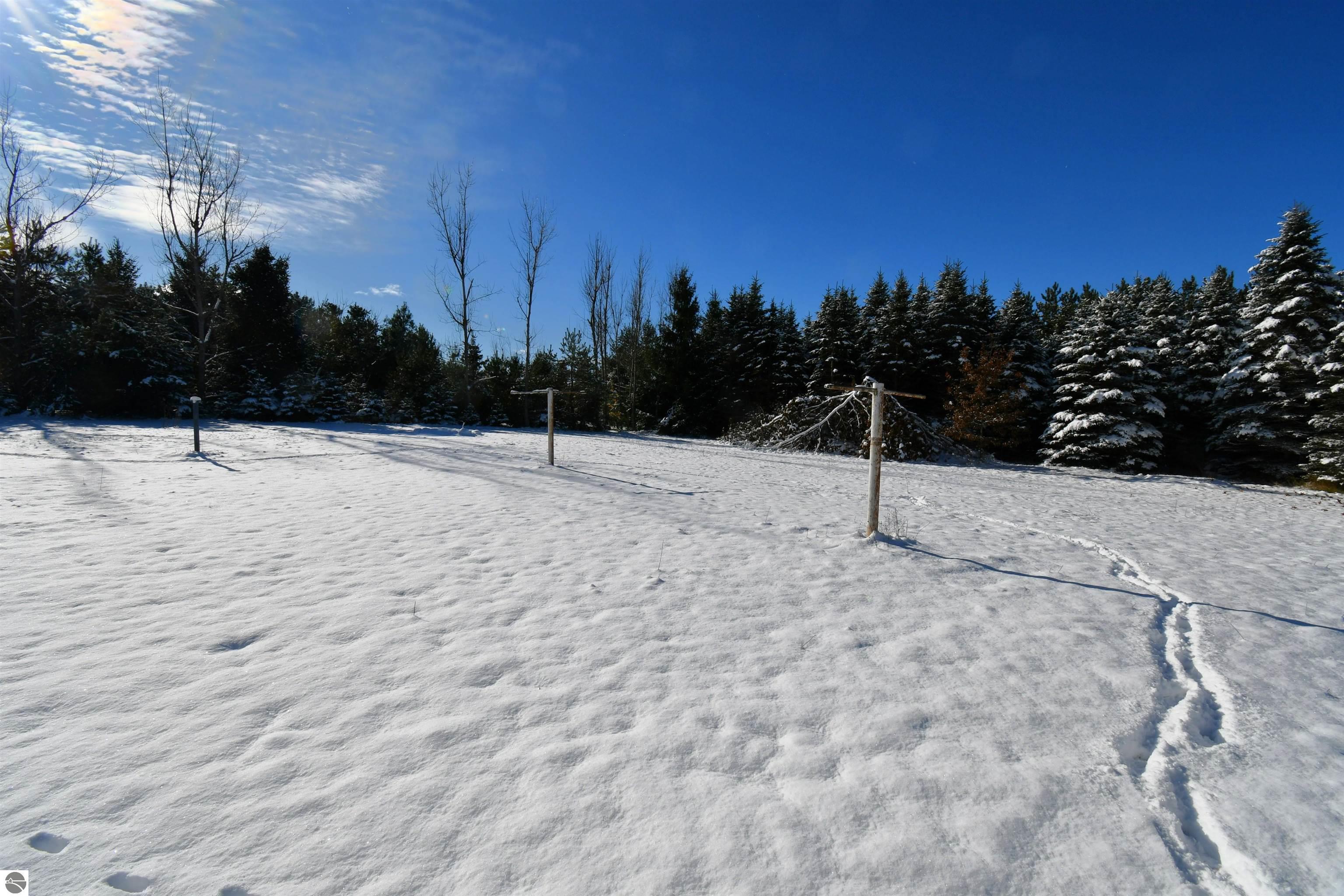 8324 Miller, Alanson, MI 49706 — Photo 34