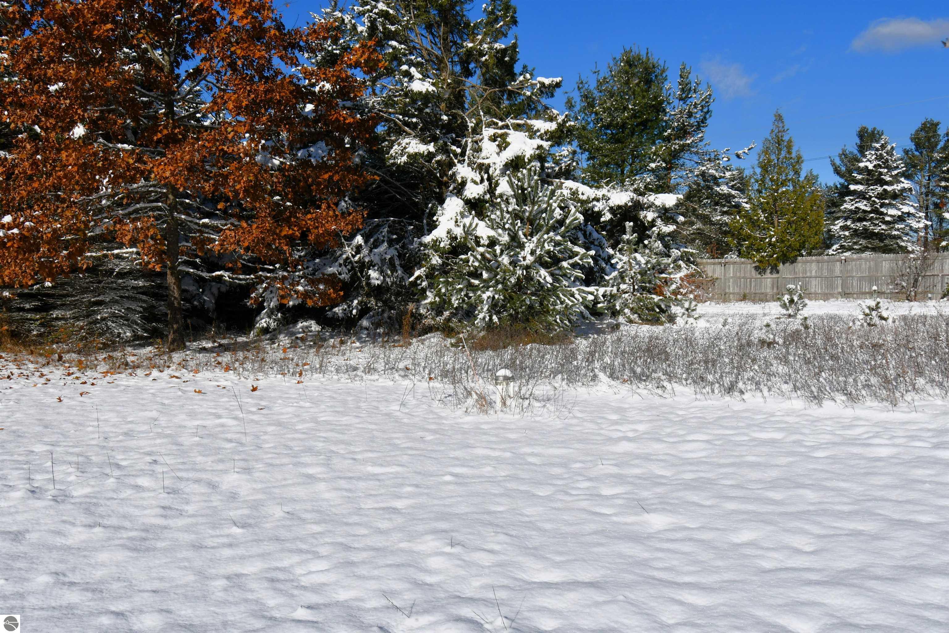 8324 Miller, Alanson, MI 49706 — Photo 35
