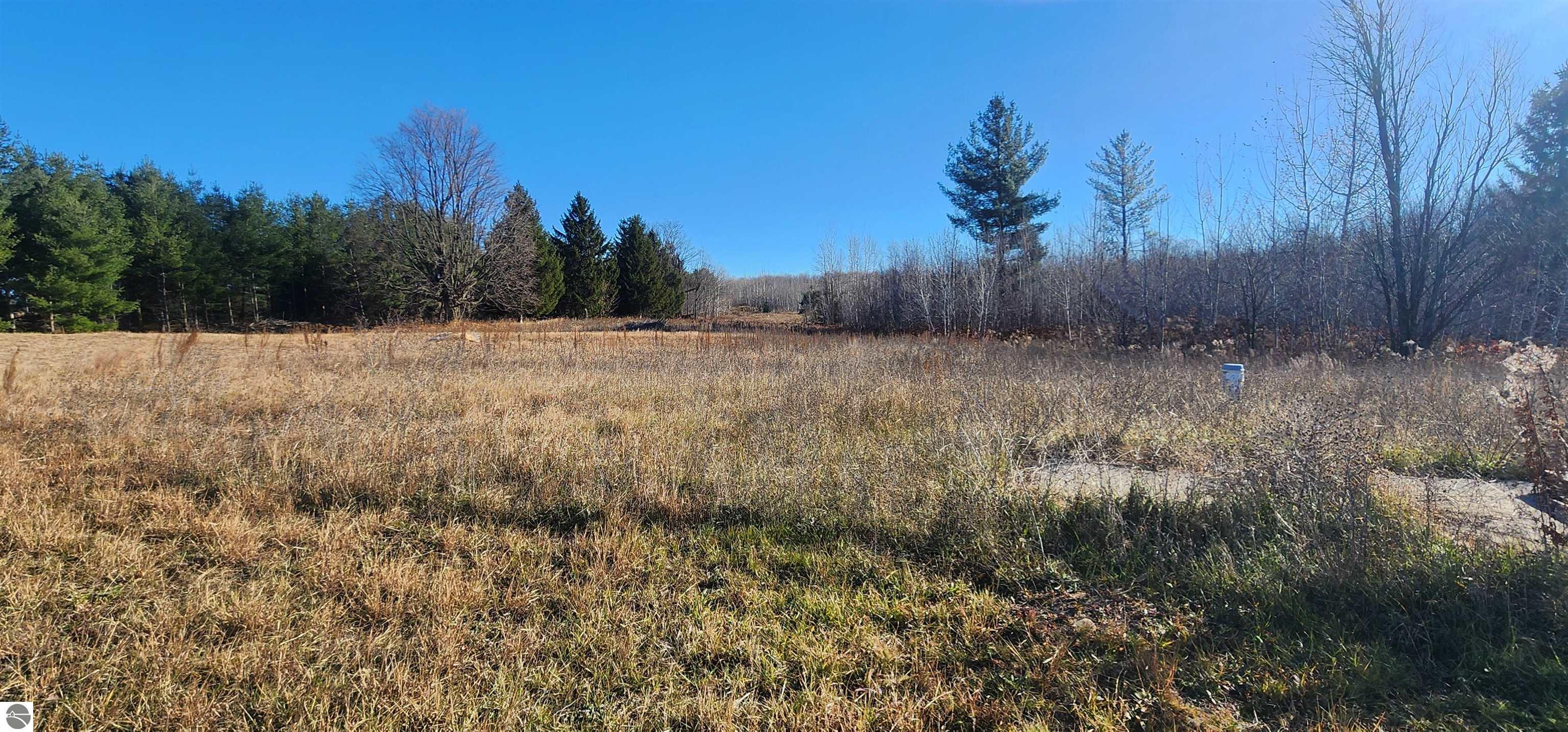 8838 N Deyoung Road, Lake City, MI 49651 — Photo 32